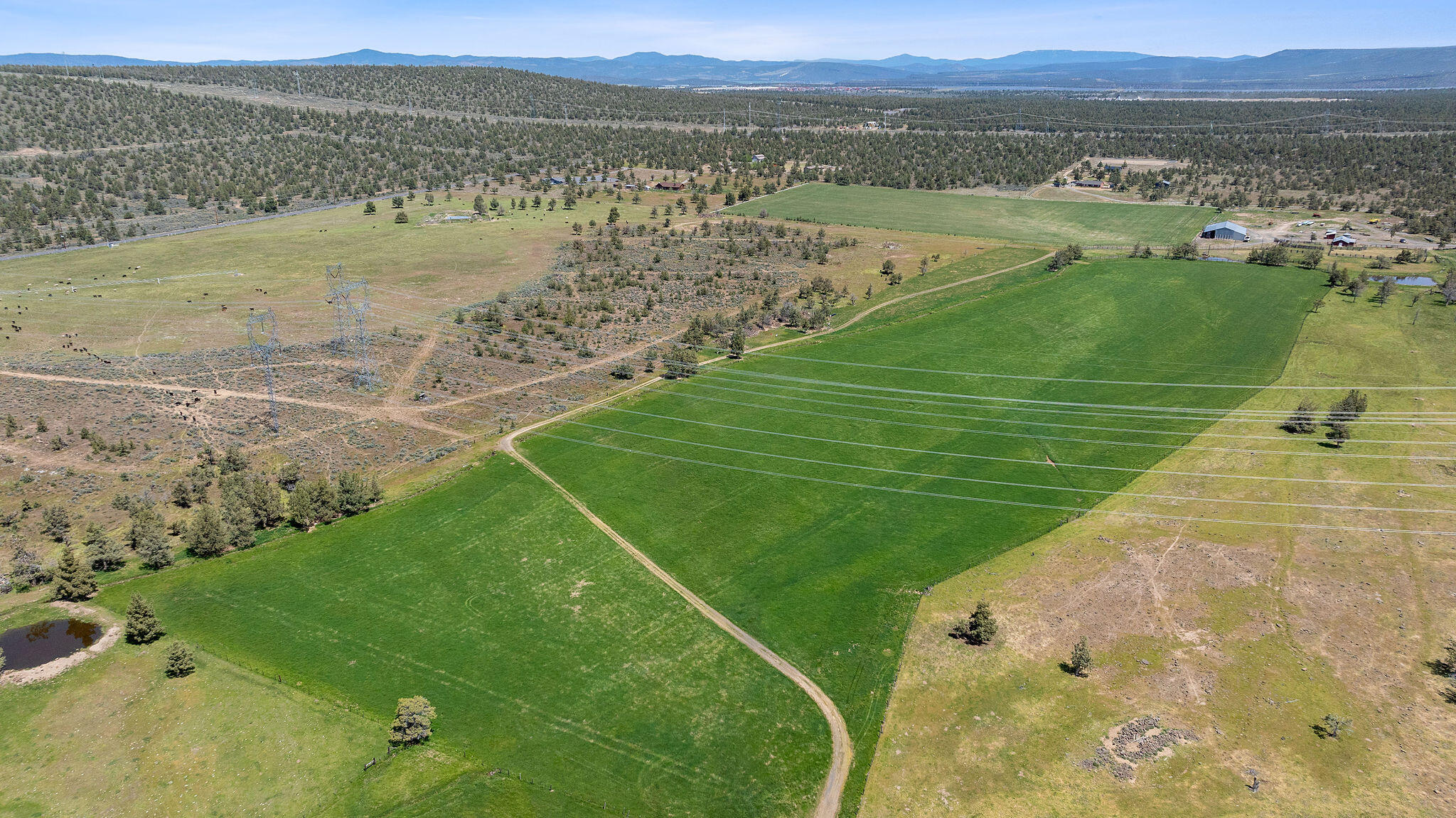 Aerial view of ranch fields and pasture, with farm buildings and mountains in the distance.