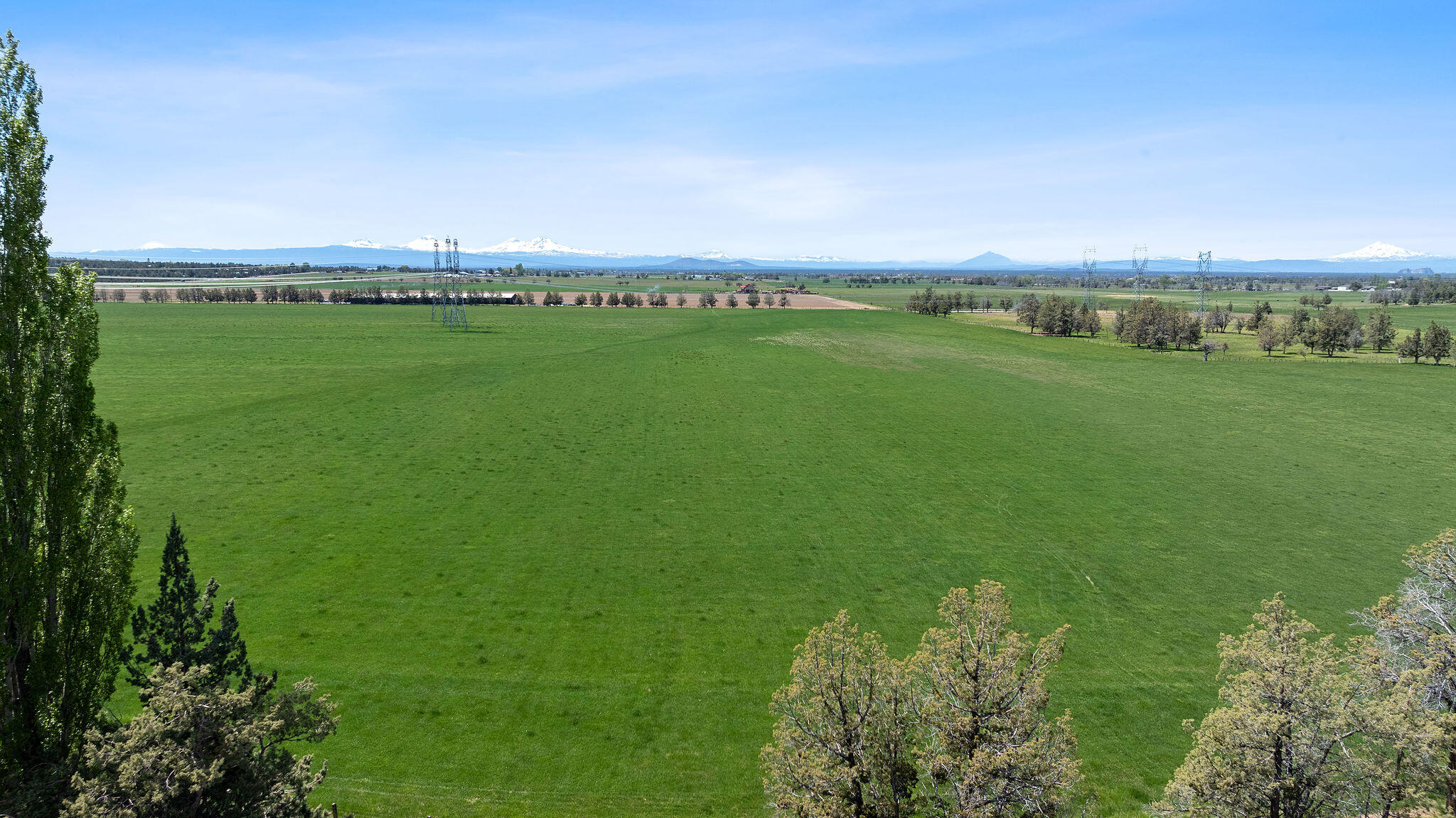 Green pasture stretches toward distant farmland and snow-capped mountains.