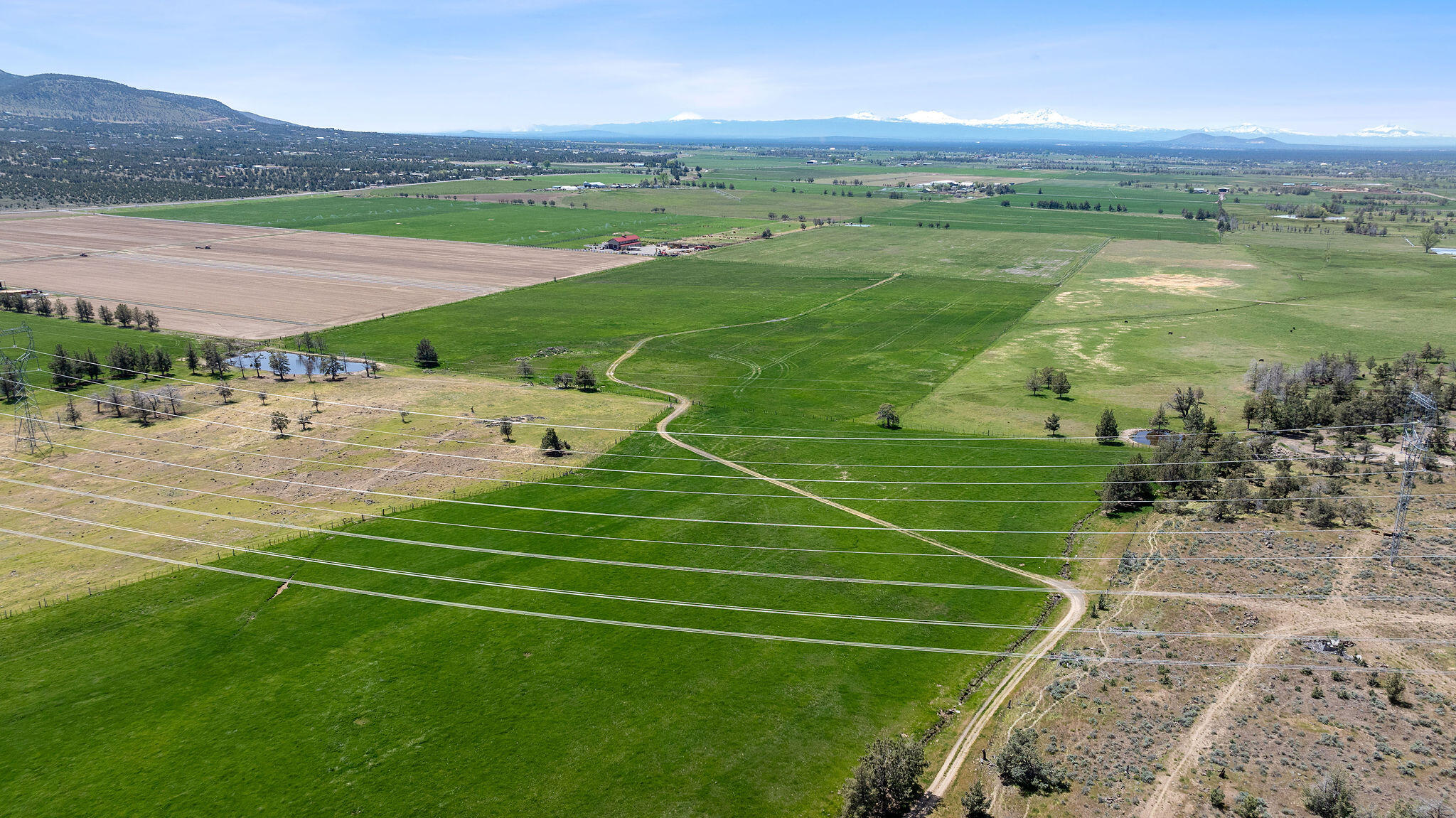Aerial view of green farmland with farm buildings, foreground power lines, and distant snow-capped mountains.