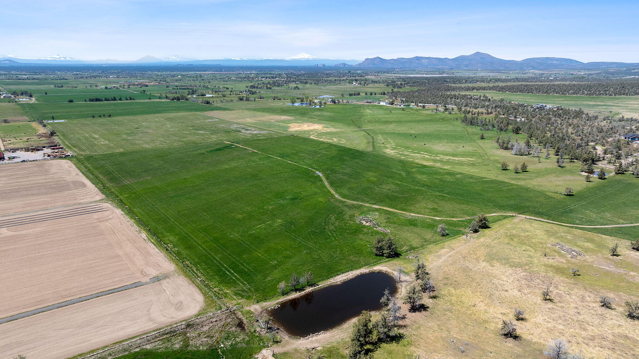 Aerial view of green farmland with a pond and distant mountains.