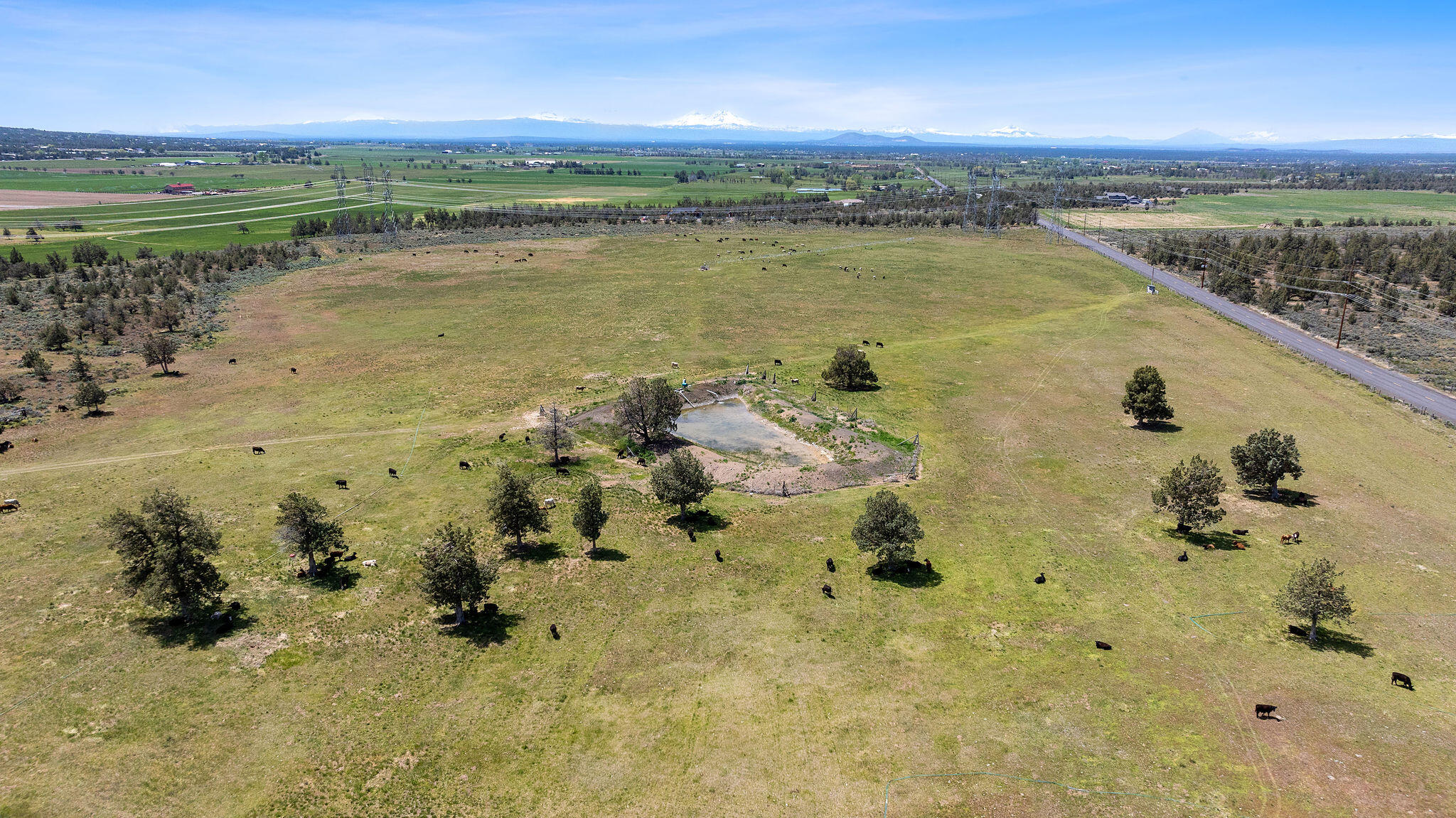 Aerial view of a cattle ranch pasture with a pond, roadside, and distant snow-capped mountains.