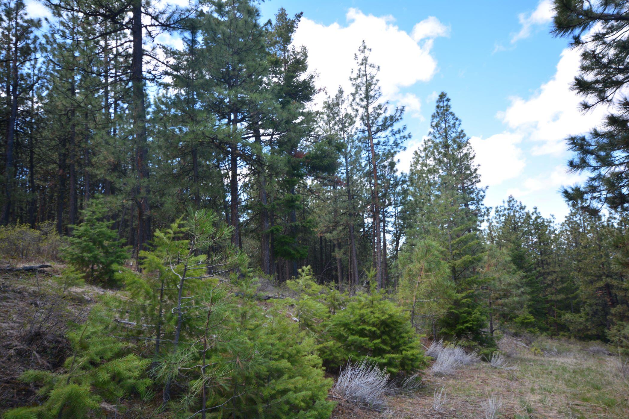 N/A Coon Ridge Road
