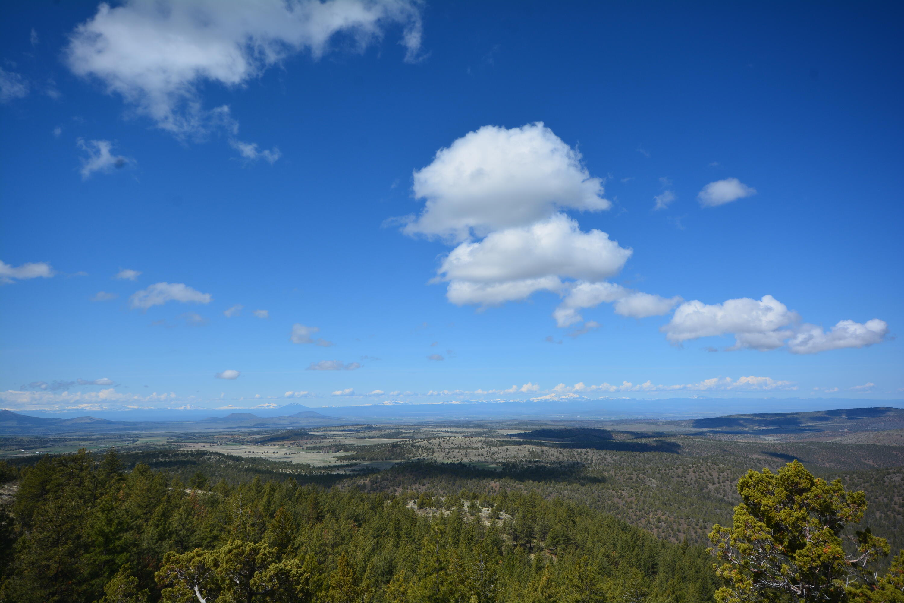 N/A Coon Ridge Road
