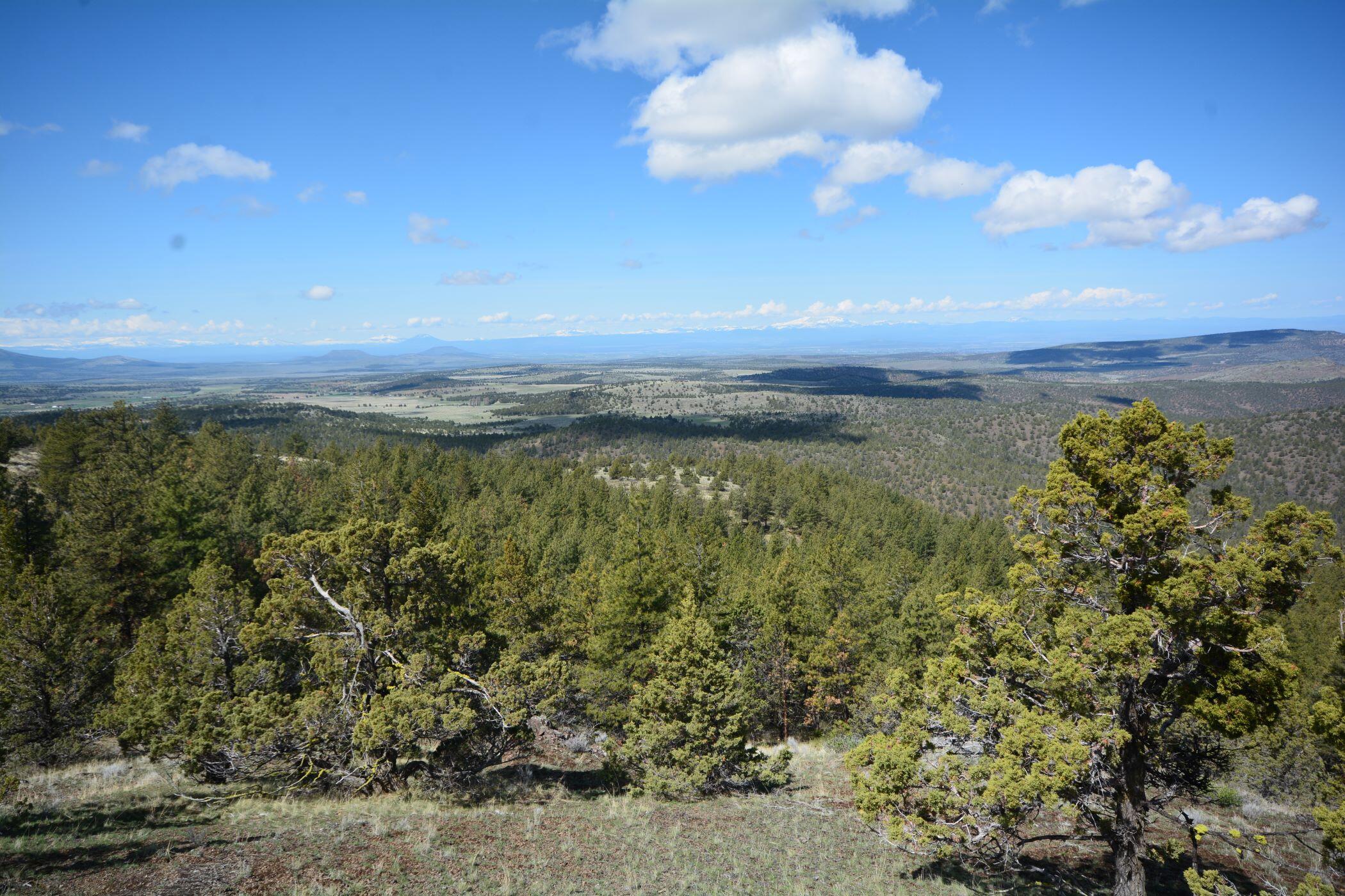 N/A Coon Ridge Road