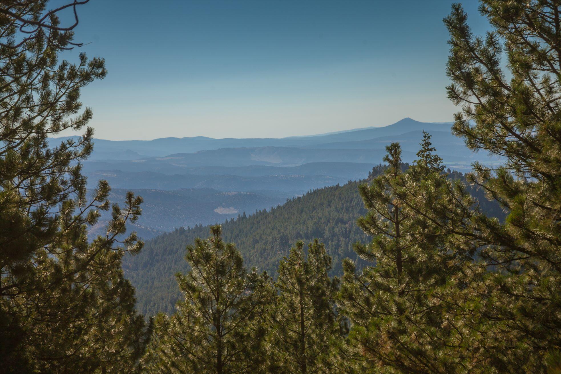N/A Coon Ridge Road