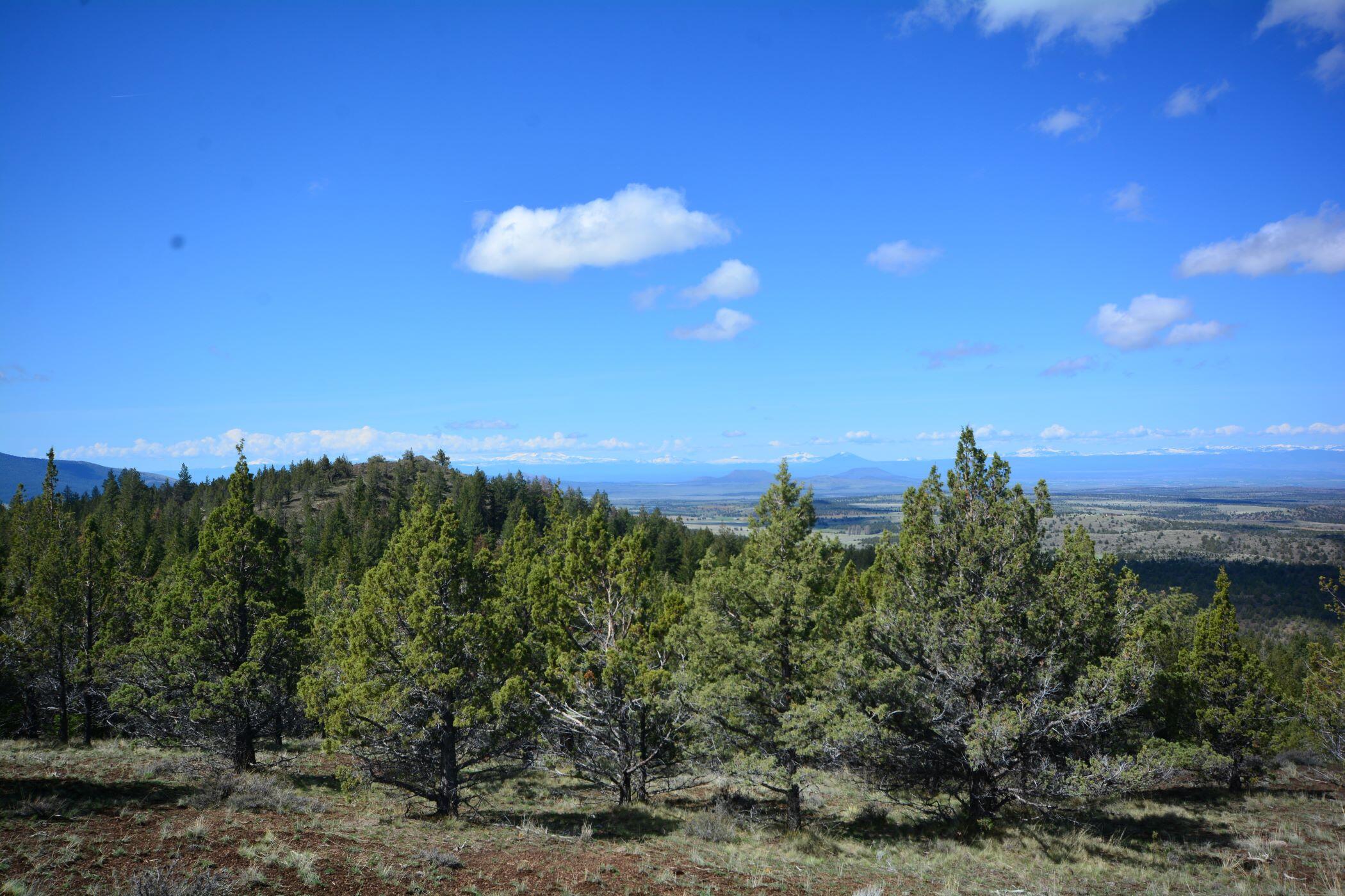 N/A Coon Ridge Road