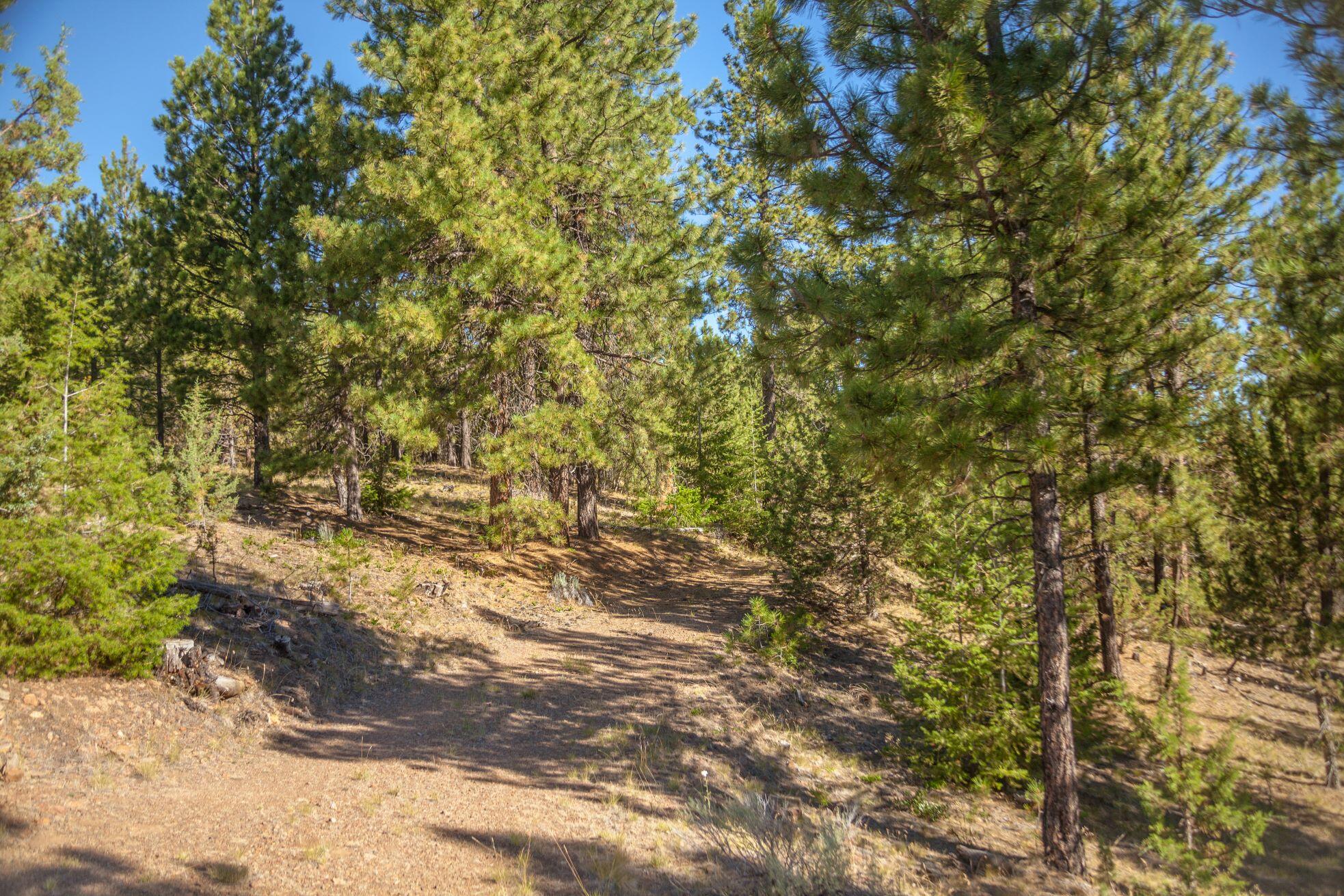 N/A Coon Ridge Road