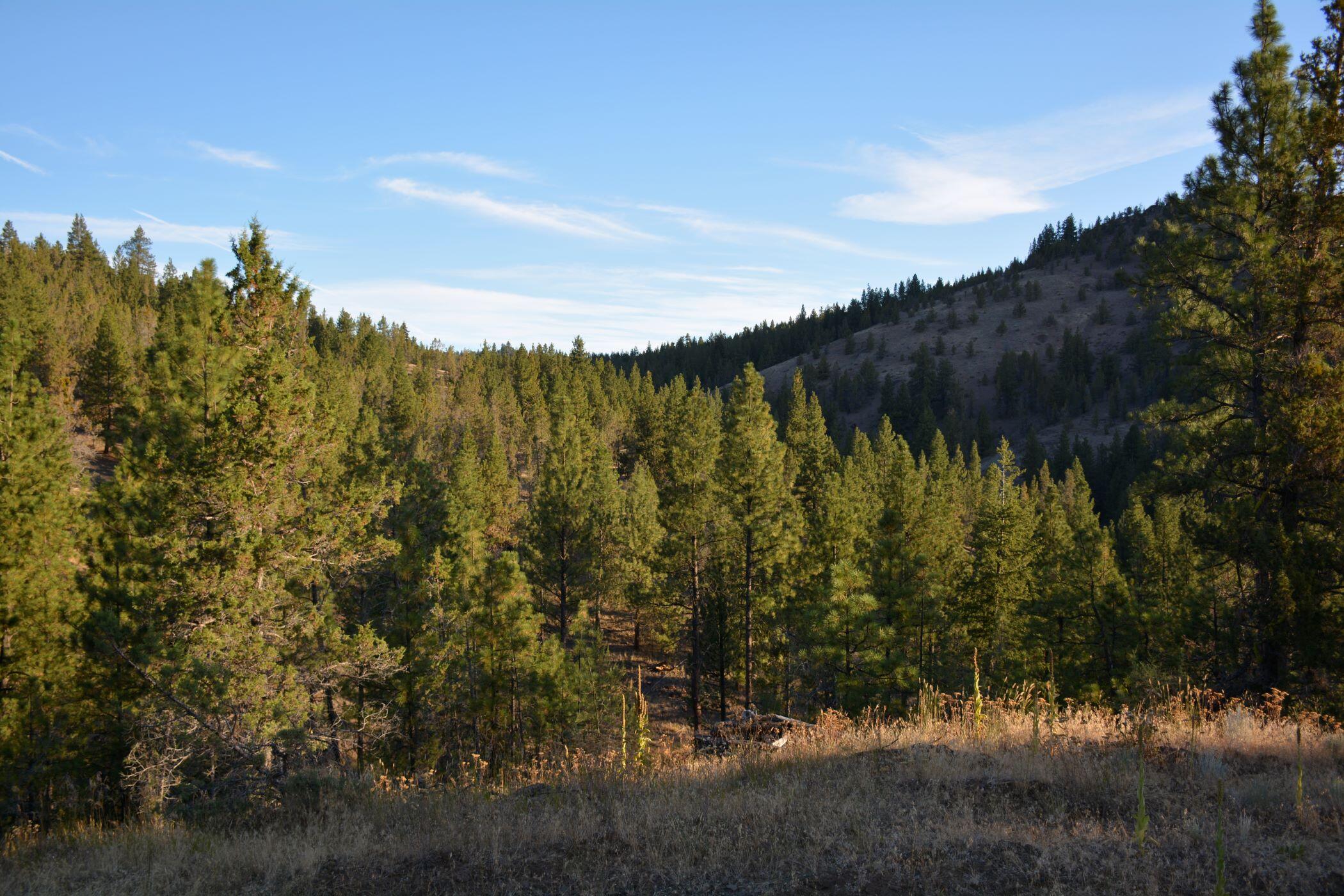 N/A Coon Ridge Road