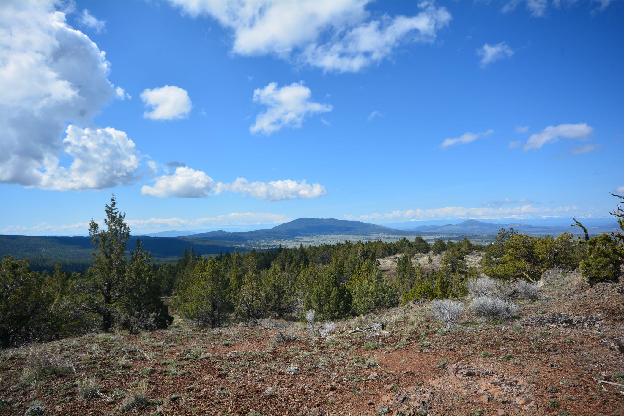 N/A Coon Ridge Road