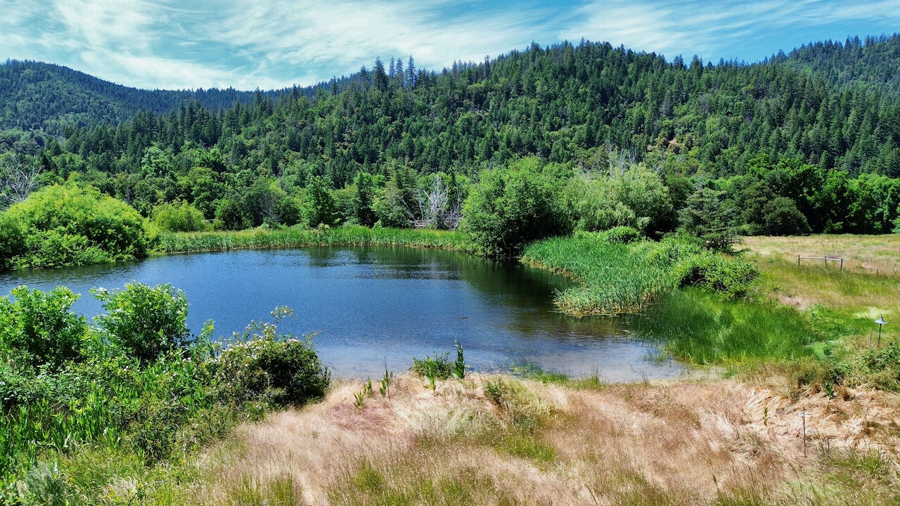 6901 Thompson Creek Road