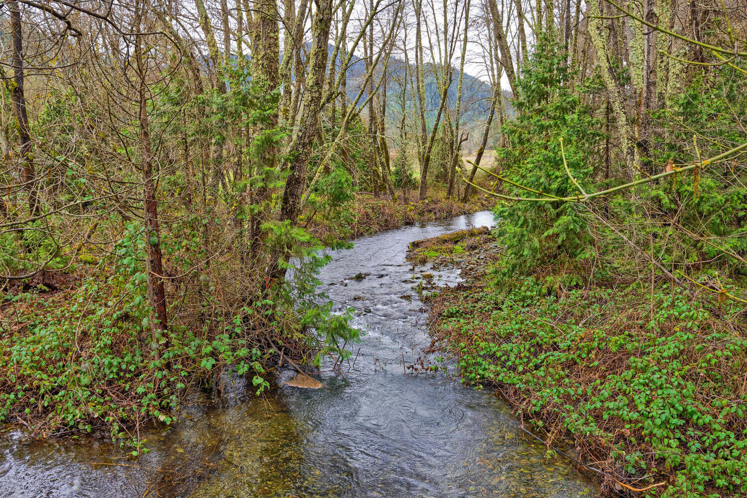 6901 Thompson Creek Road