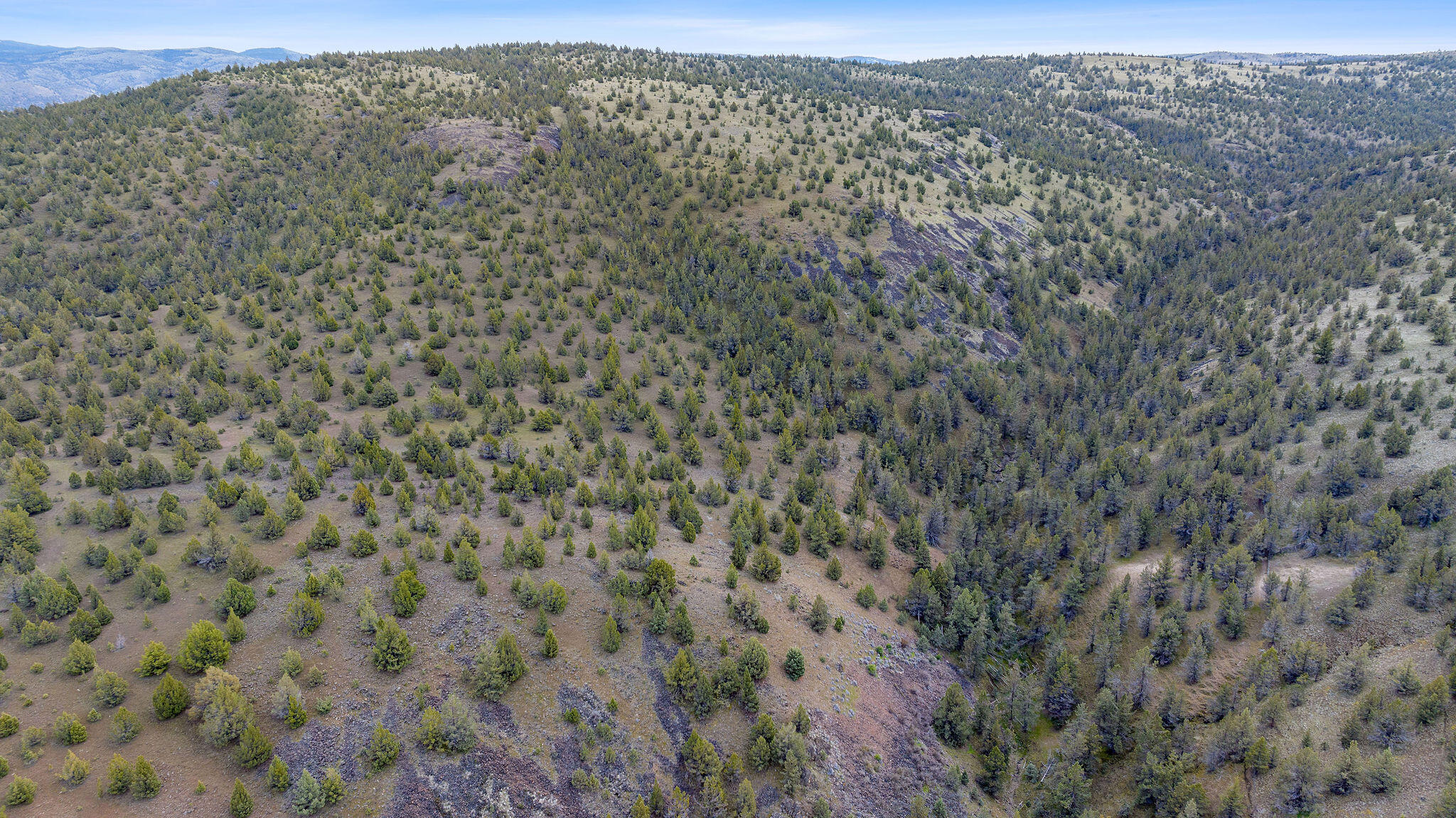 TBD Trout Creek Road