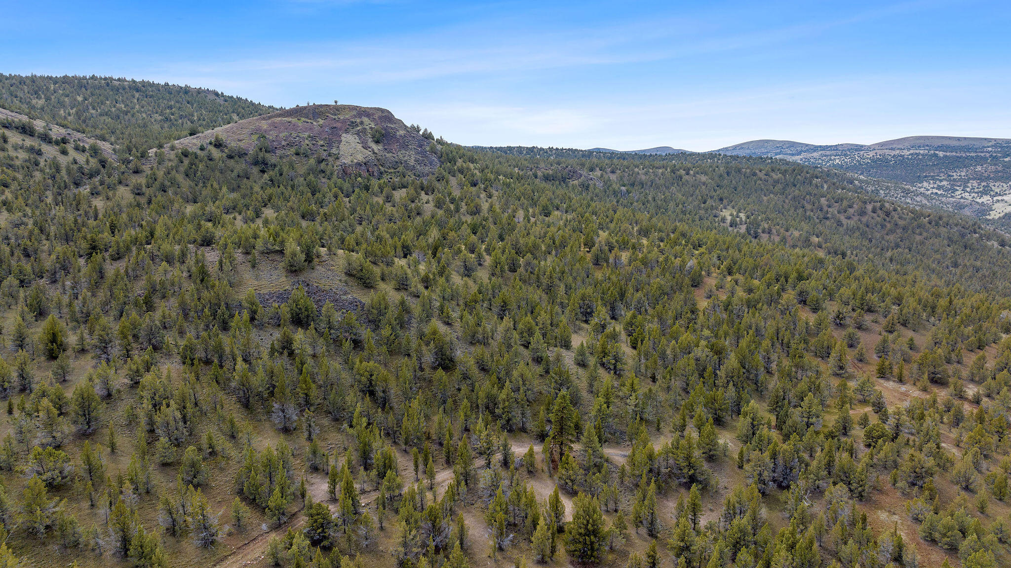 TBD Trout Creek Road