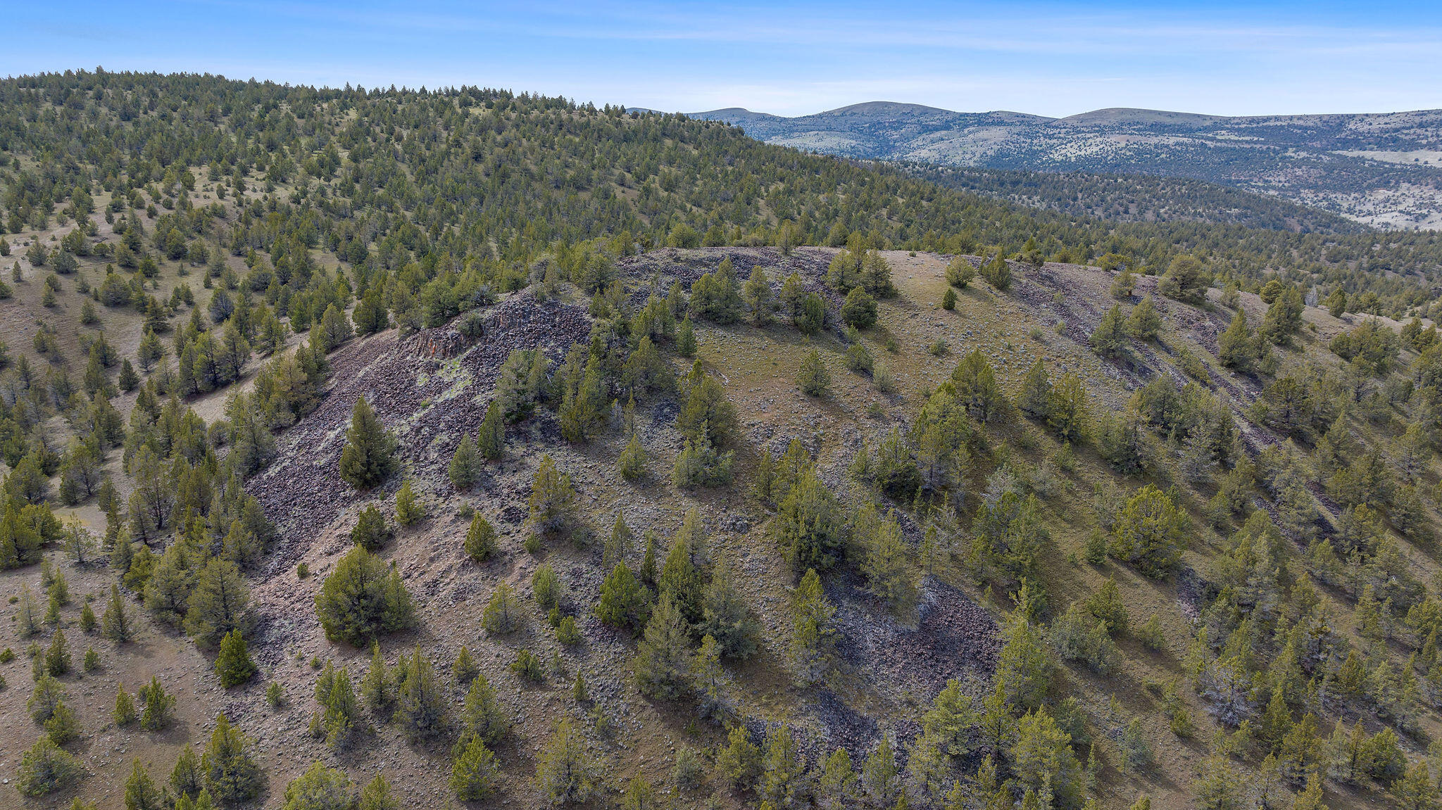 TBD Trout Creek Road