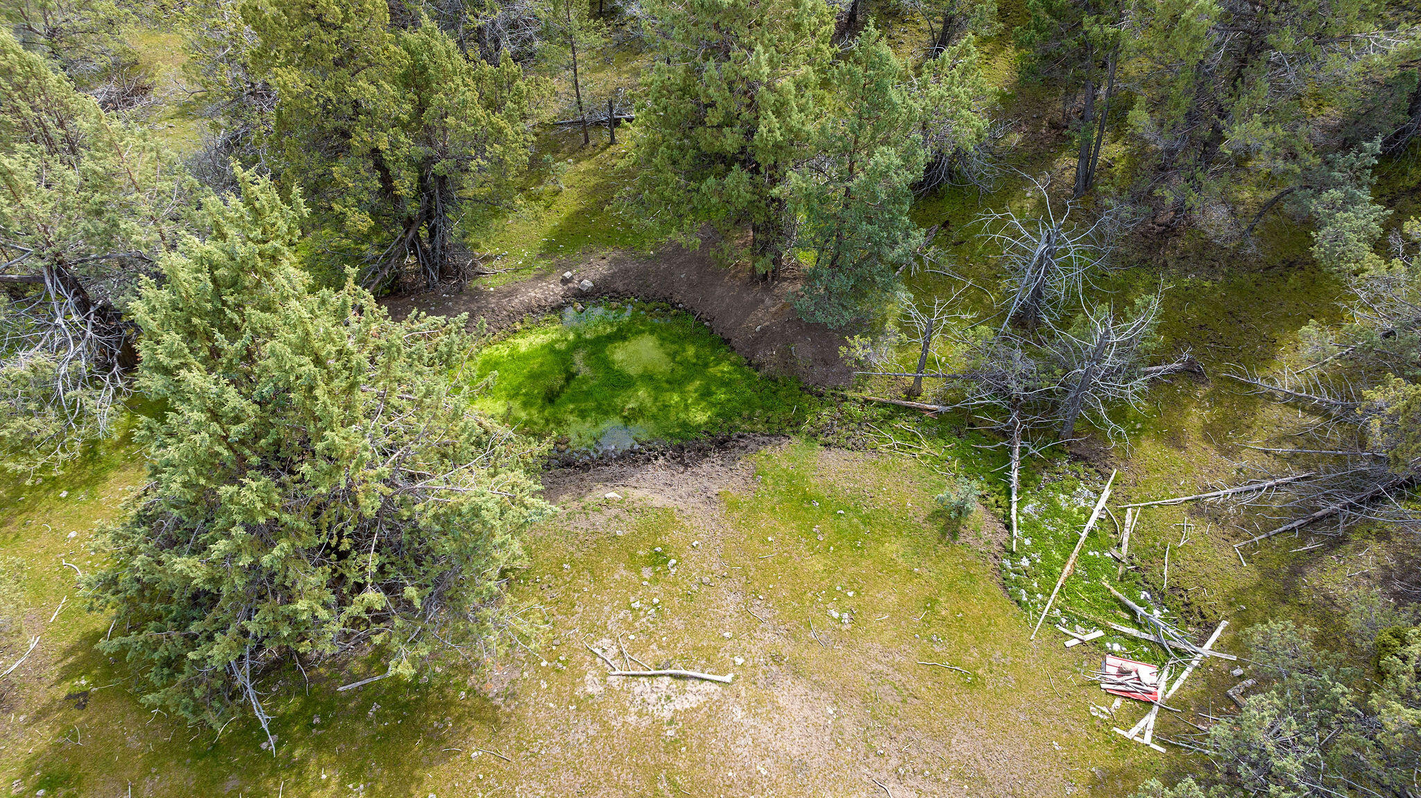 TBD Trout Creek Road