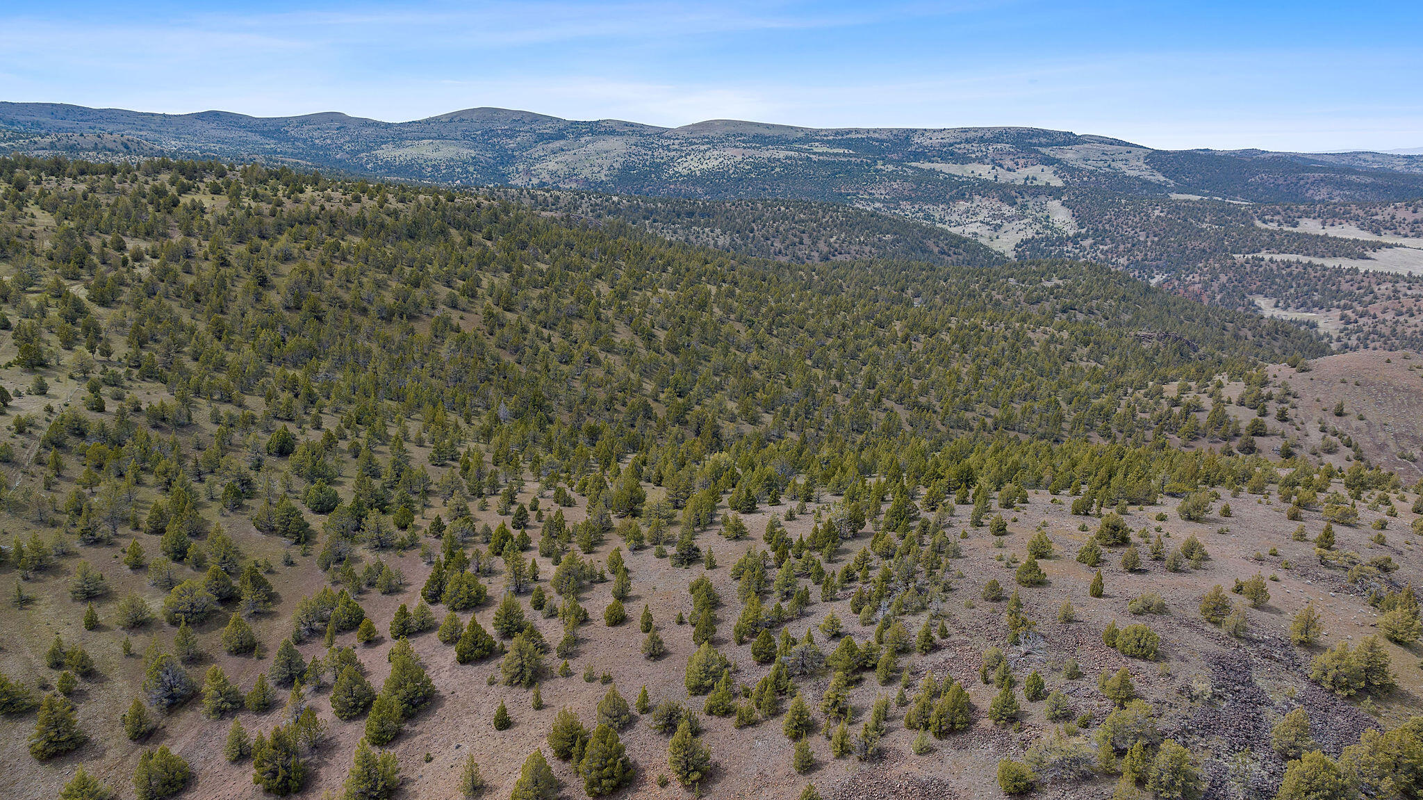 TBD Trout Creek Road