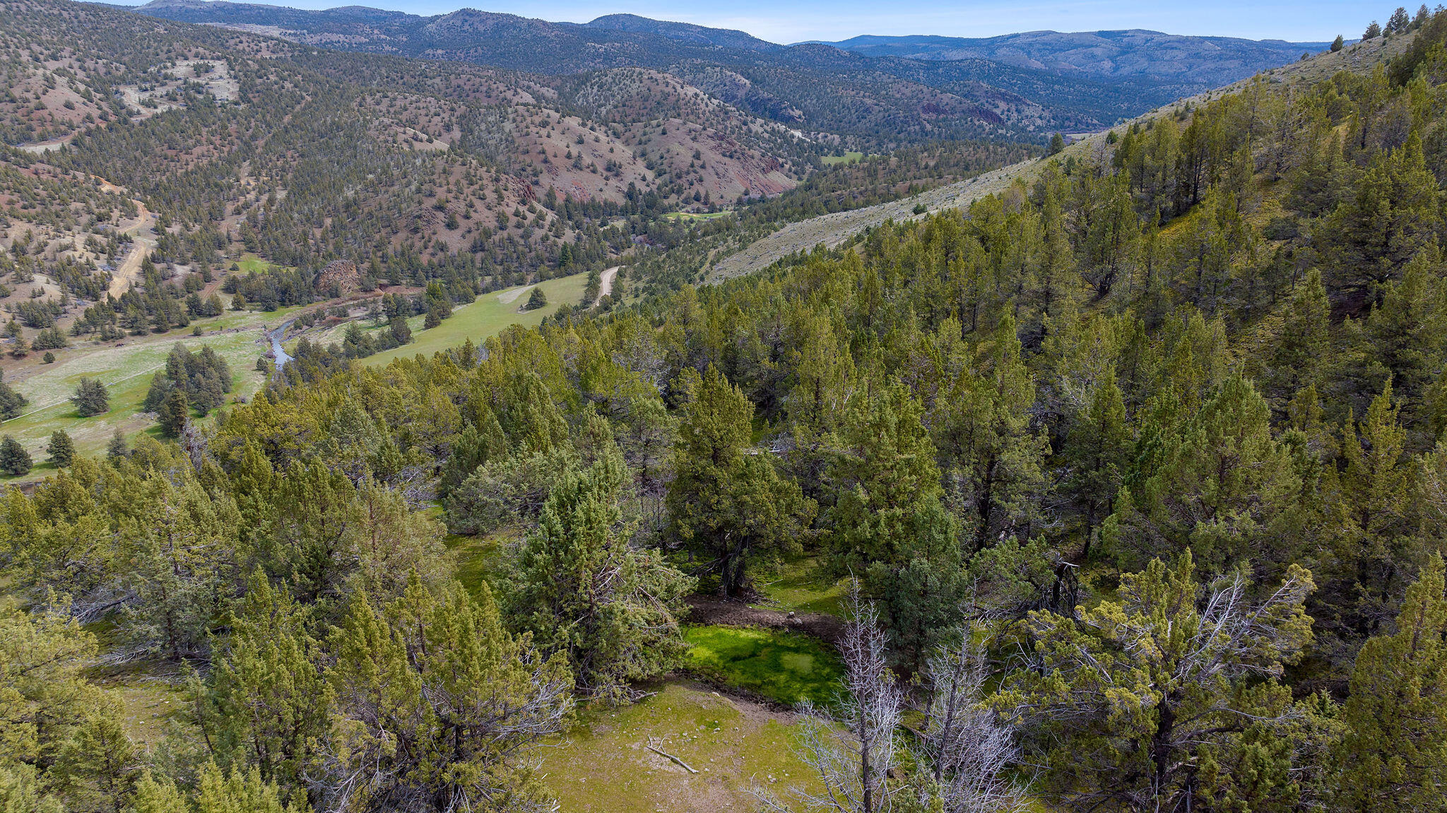 TBD Trout Creek Road