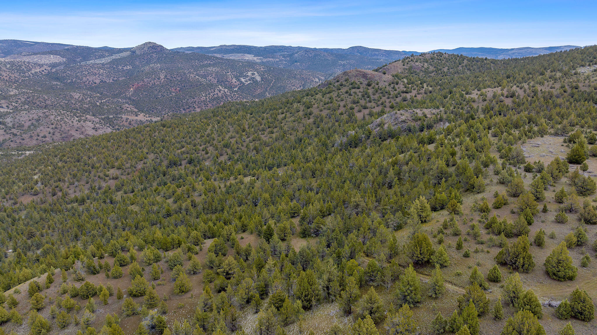 TBD Trout Creek Road