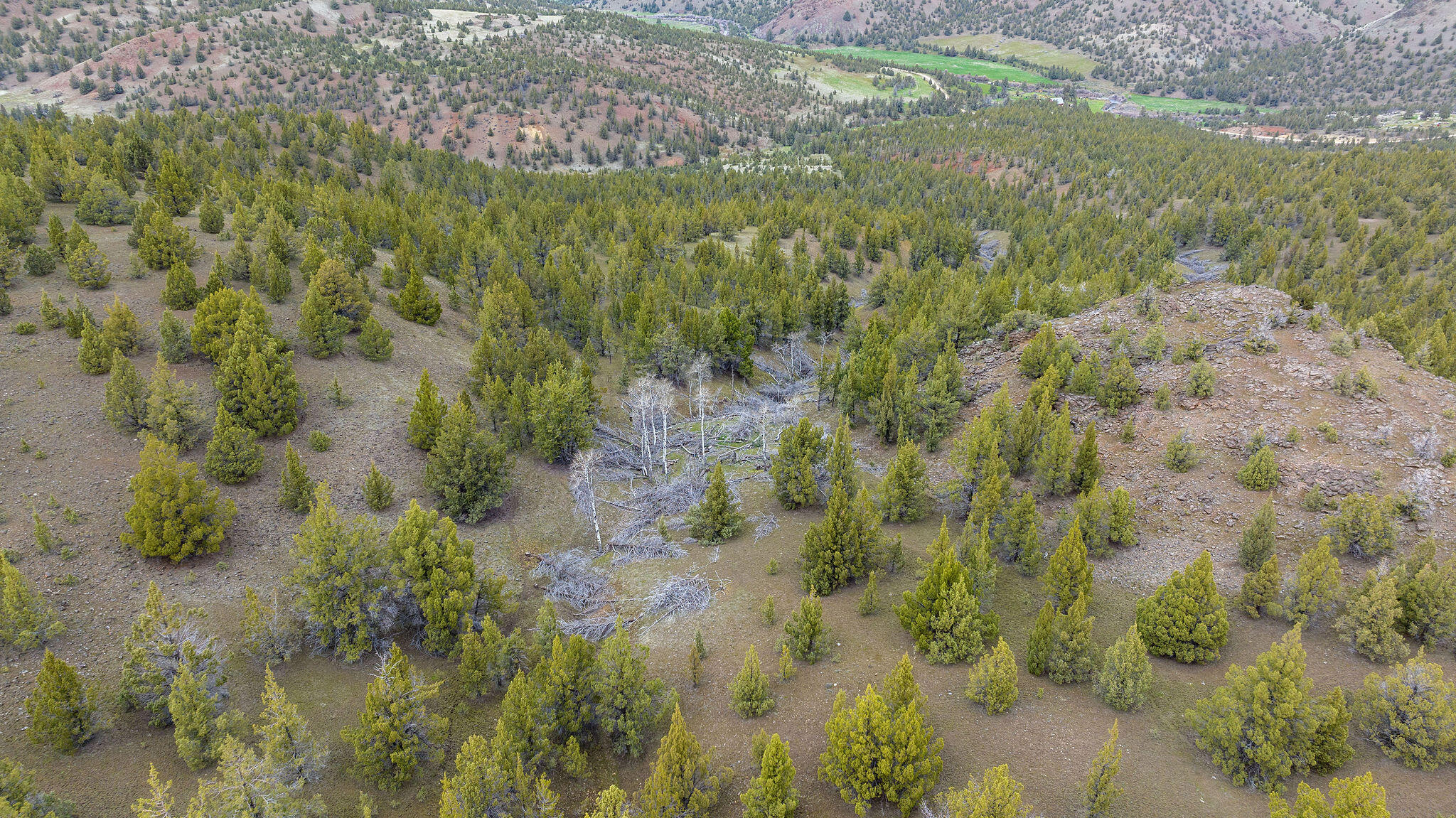 TBD Trout Creek Road