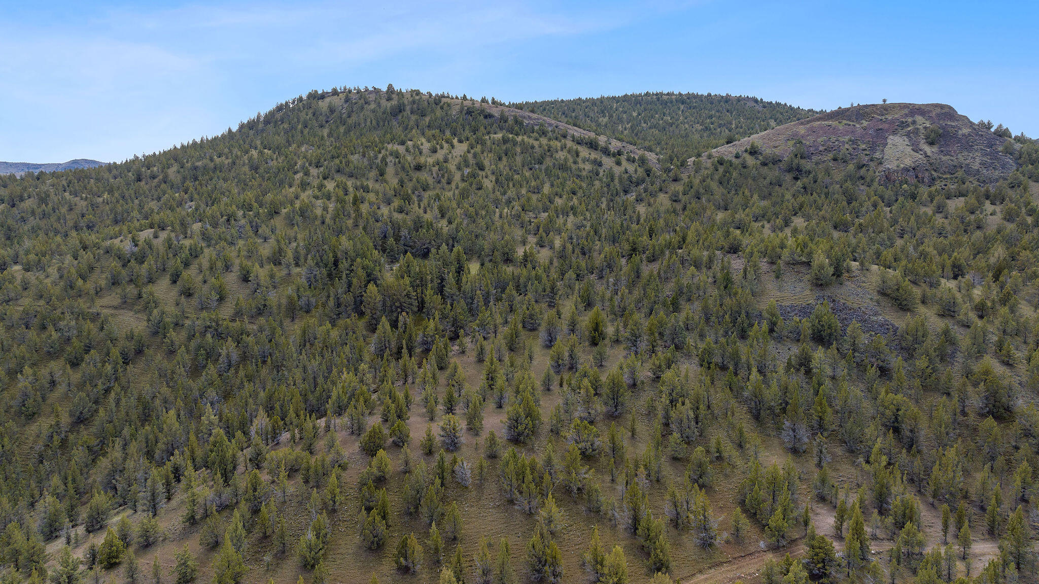 TBD Trout Creek Road