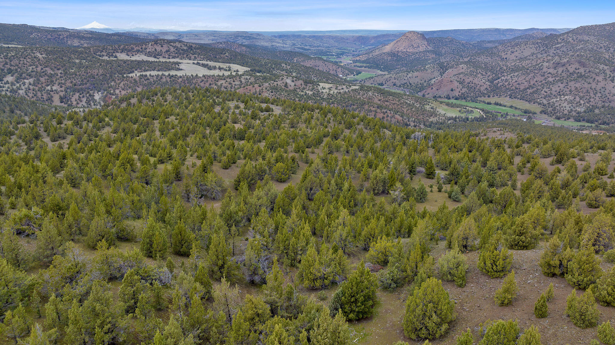 TBD Trout Creek Road