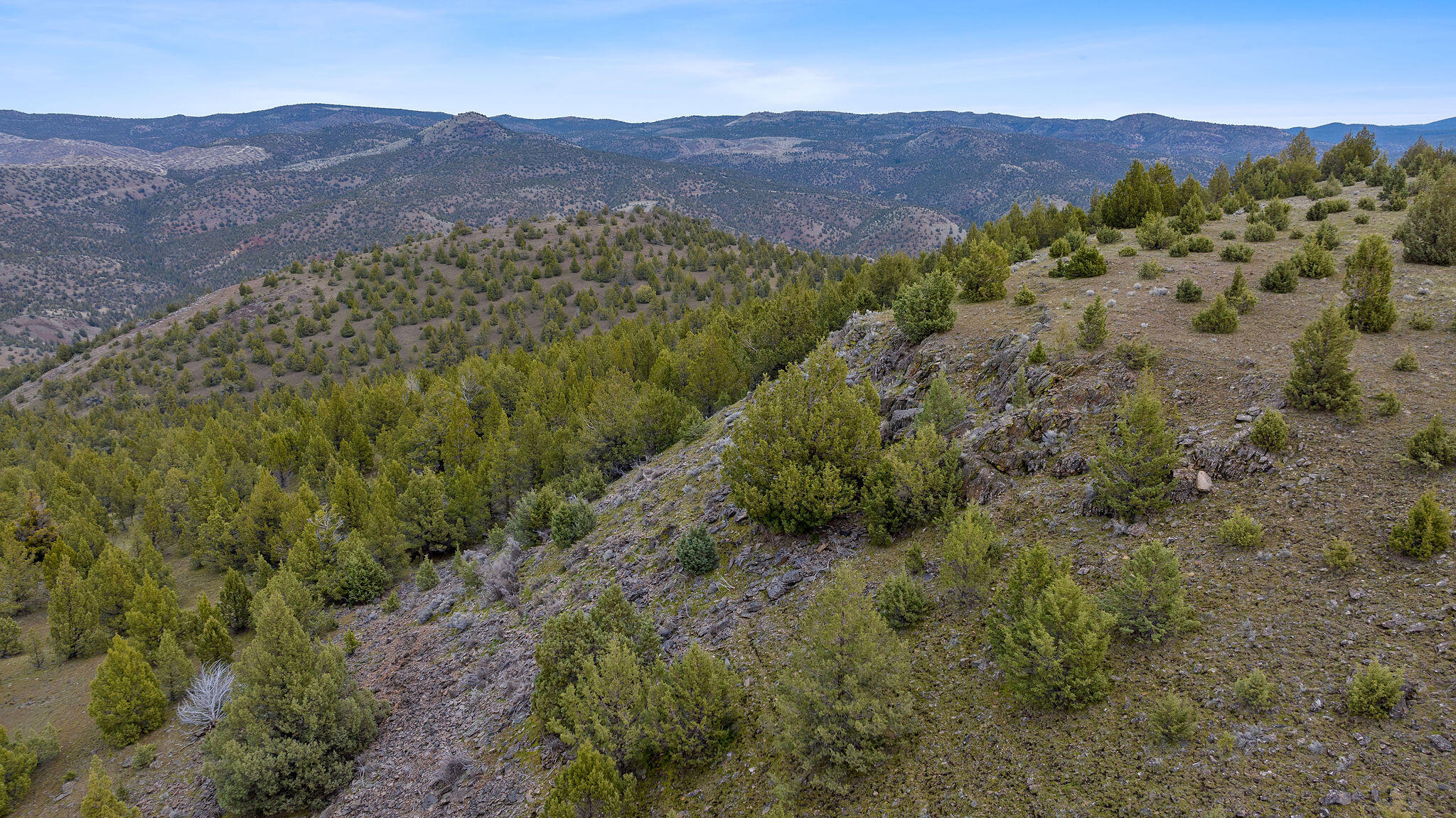 TBD Trout Creek Road