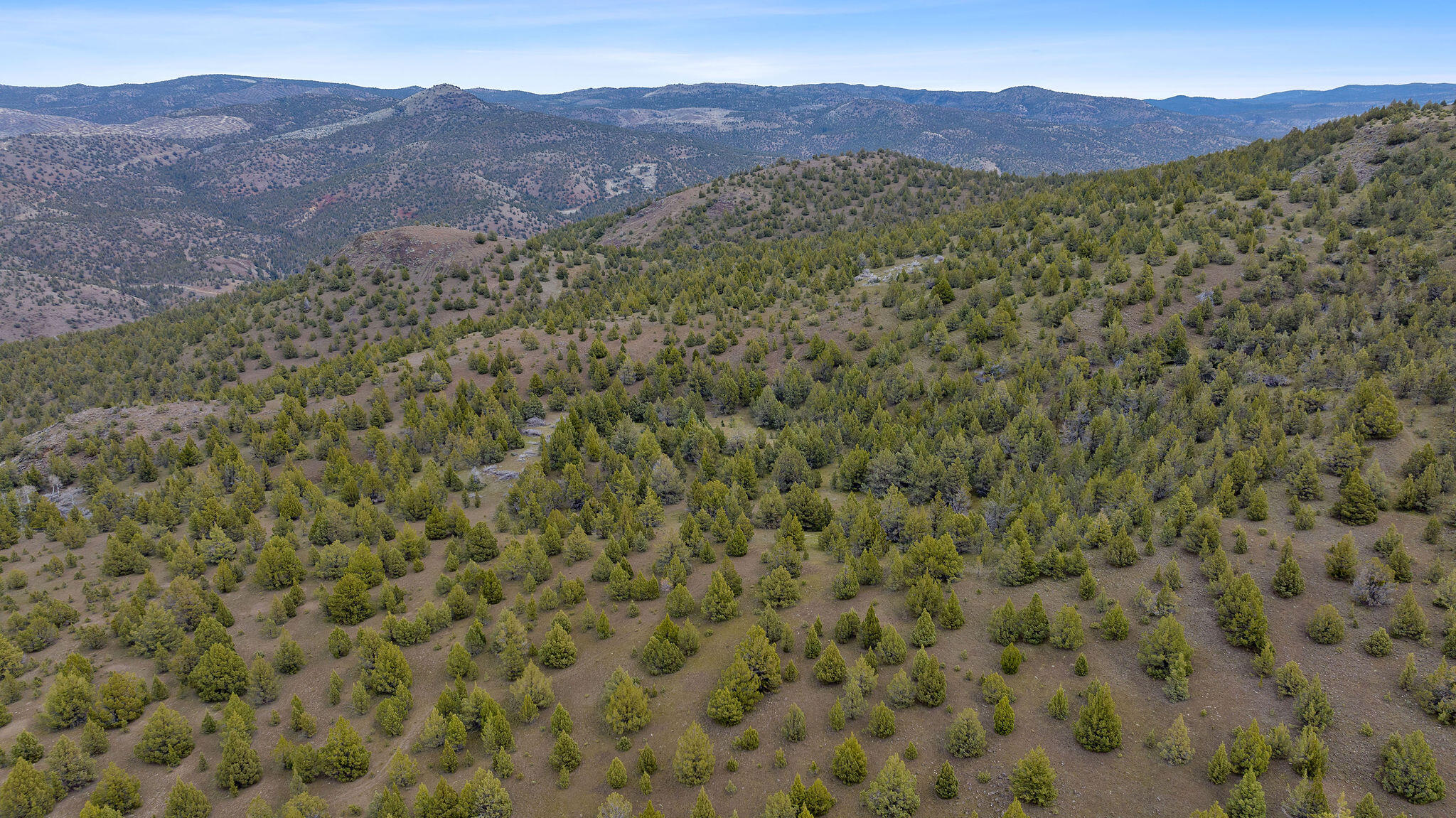 TBD Trout Creek Road