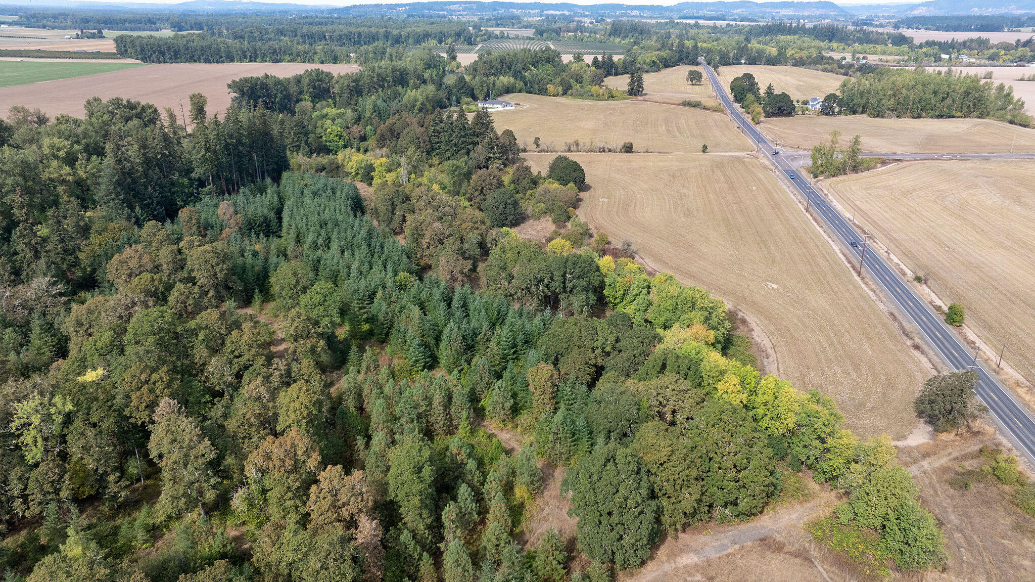 TBD Brewster Road