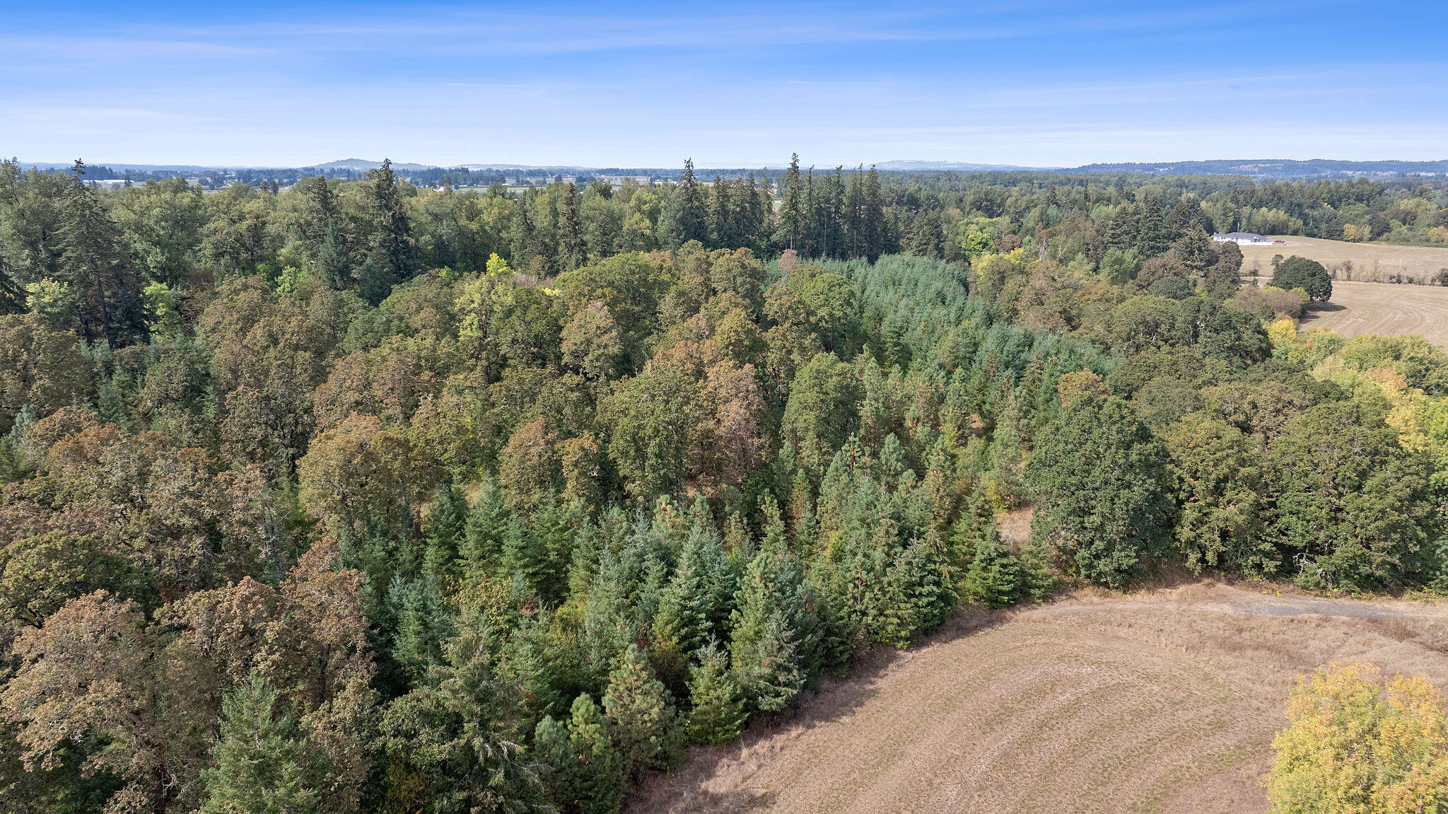 TBD Brewster Road