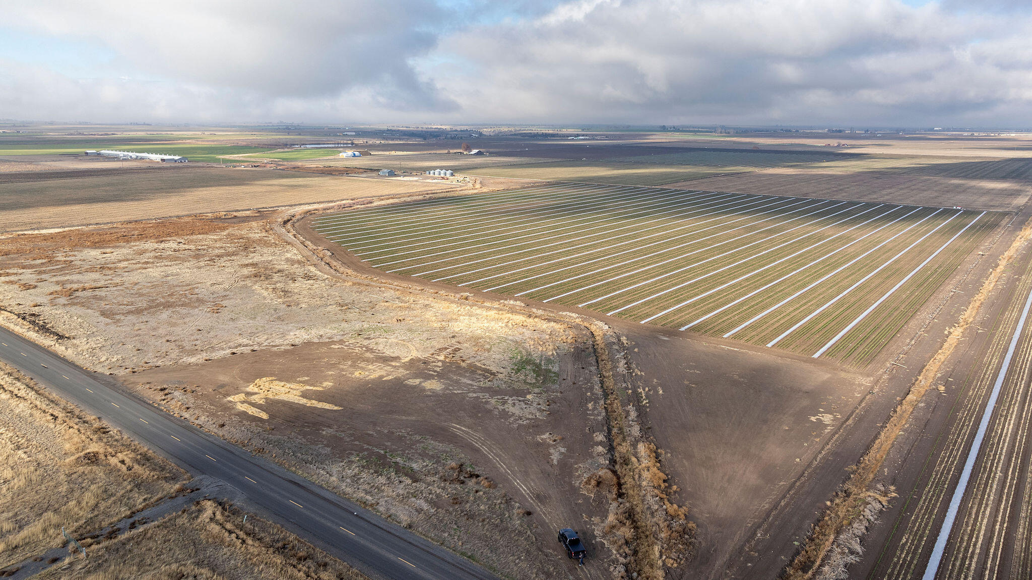Aerial view of agricultural fields with long cultivated rows, distant farm buildings, and a road.