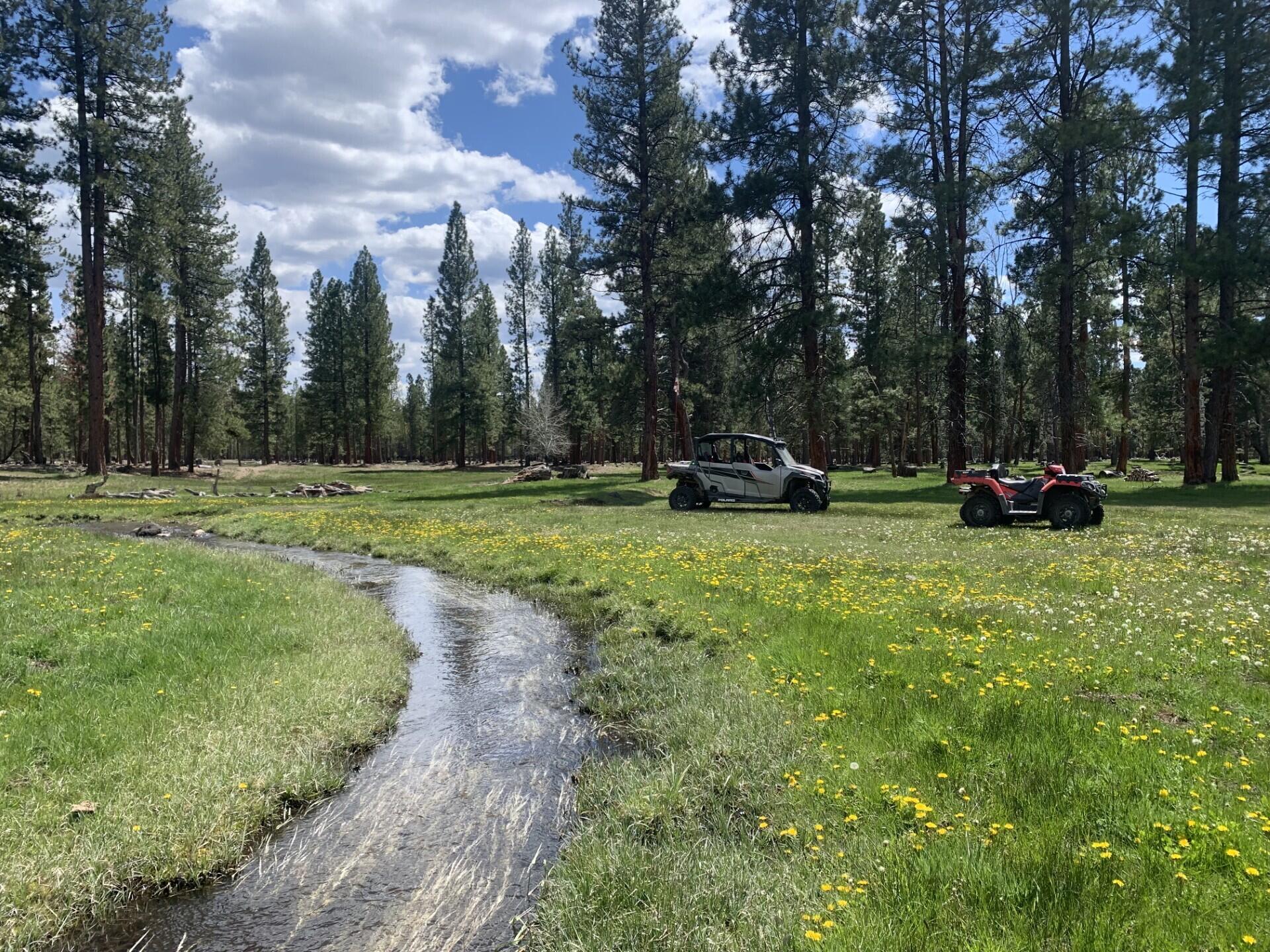 000 national forest developmen 49