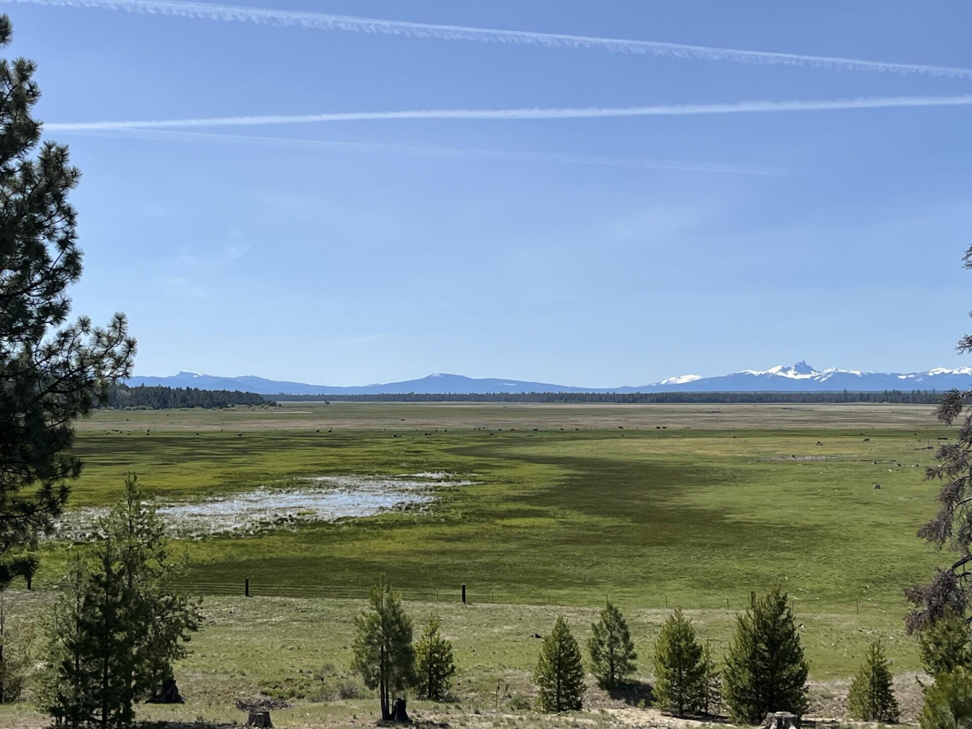 000 national forest developmen 49