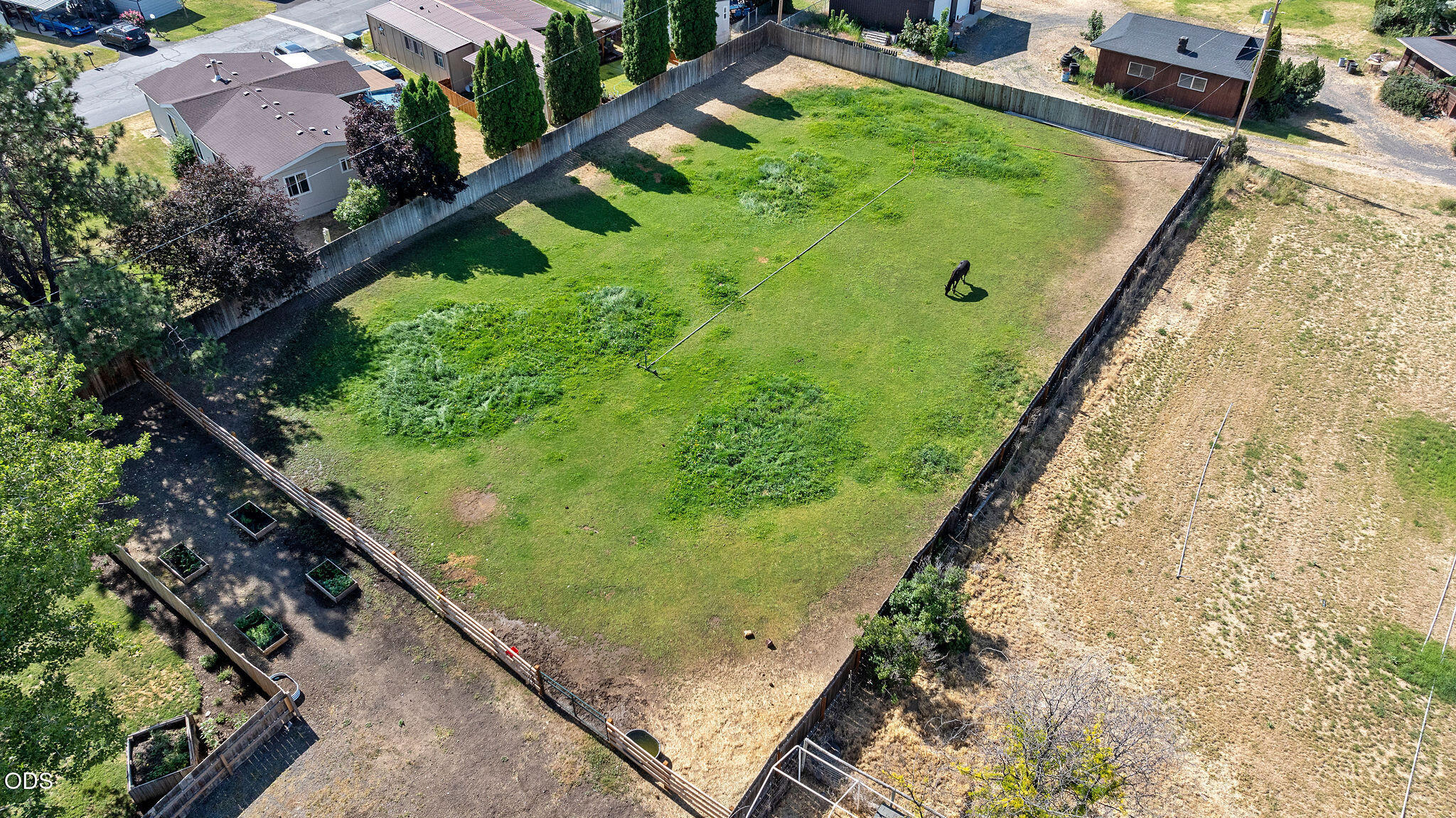 Aerial view of a fenced grassy yard with a grazing animal and raised garden beds.