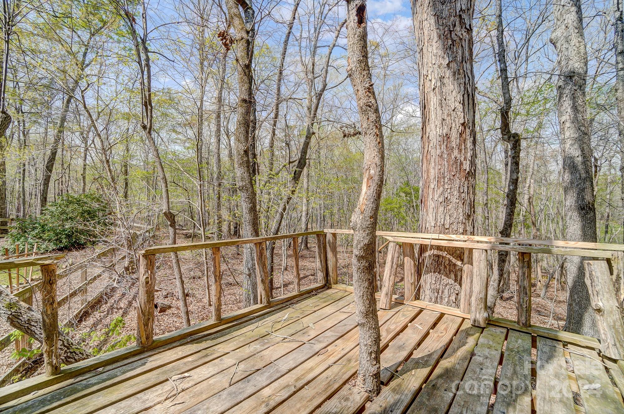 5220 Cane Creek Road
