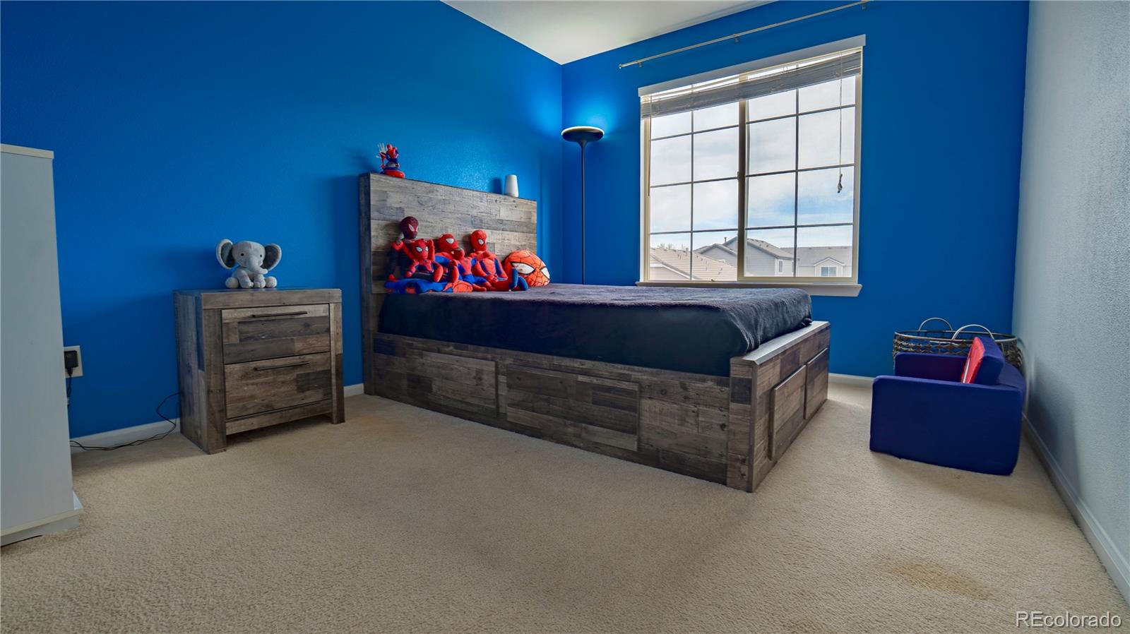 14873 E 119th Avenue