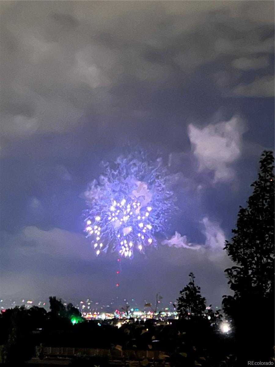 12176 S Hawks Rim Trail