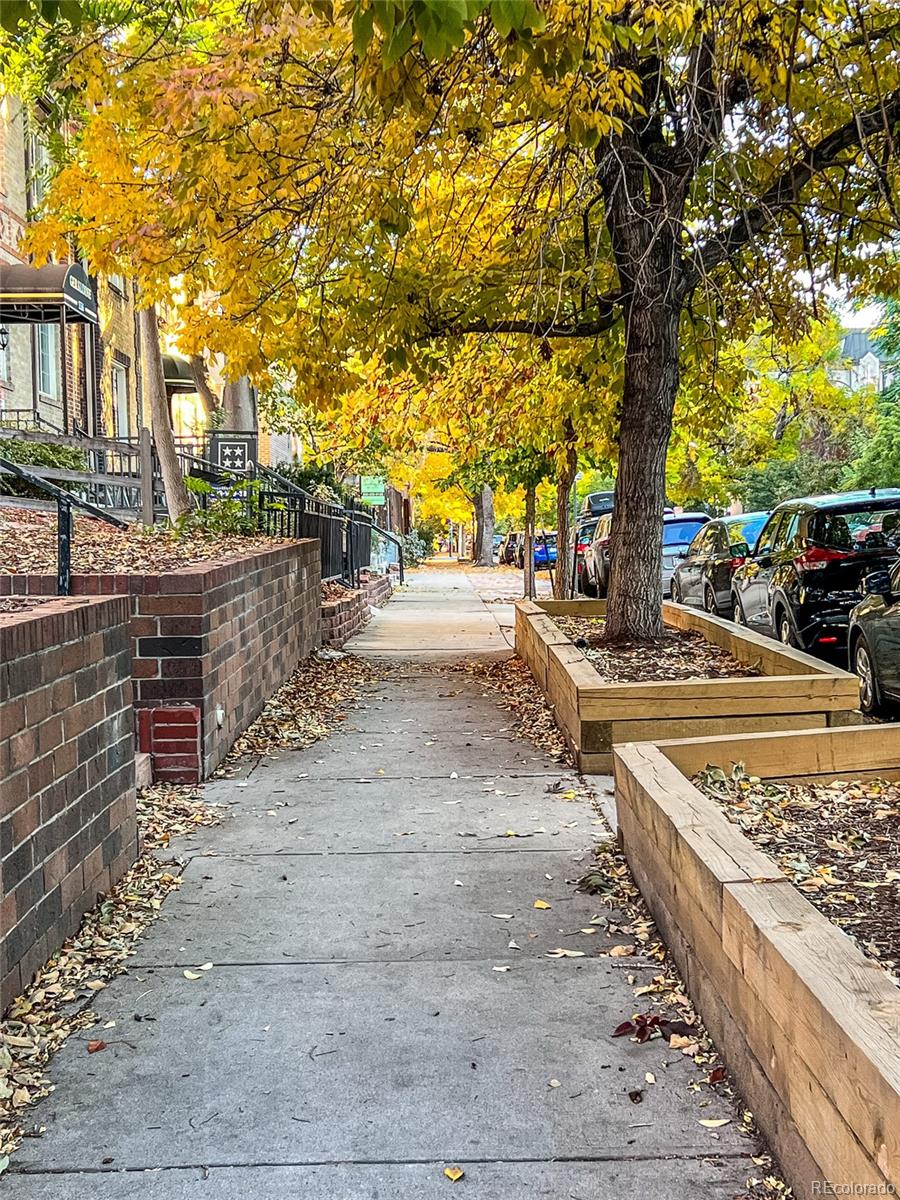 1310 N Corona Street Unit: 5