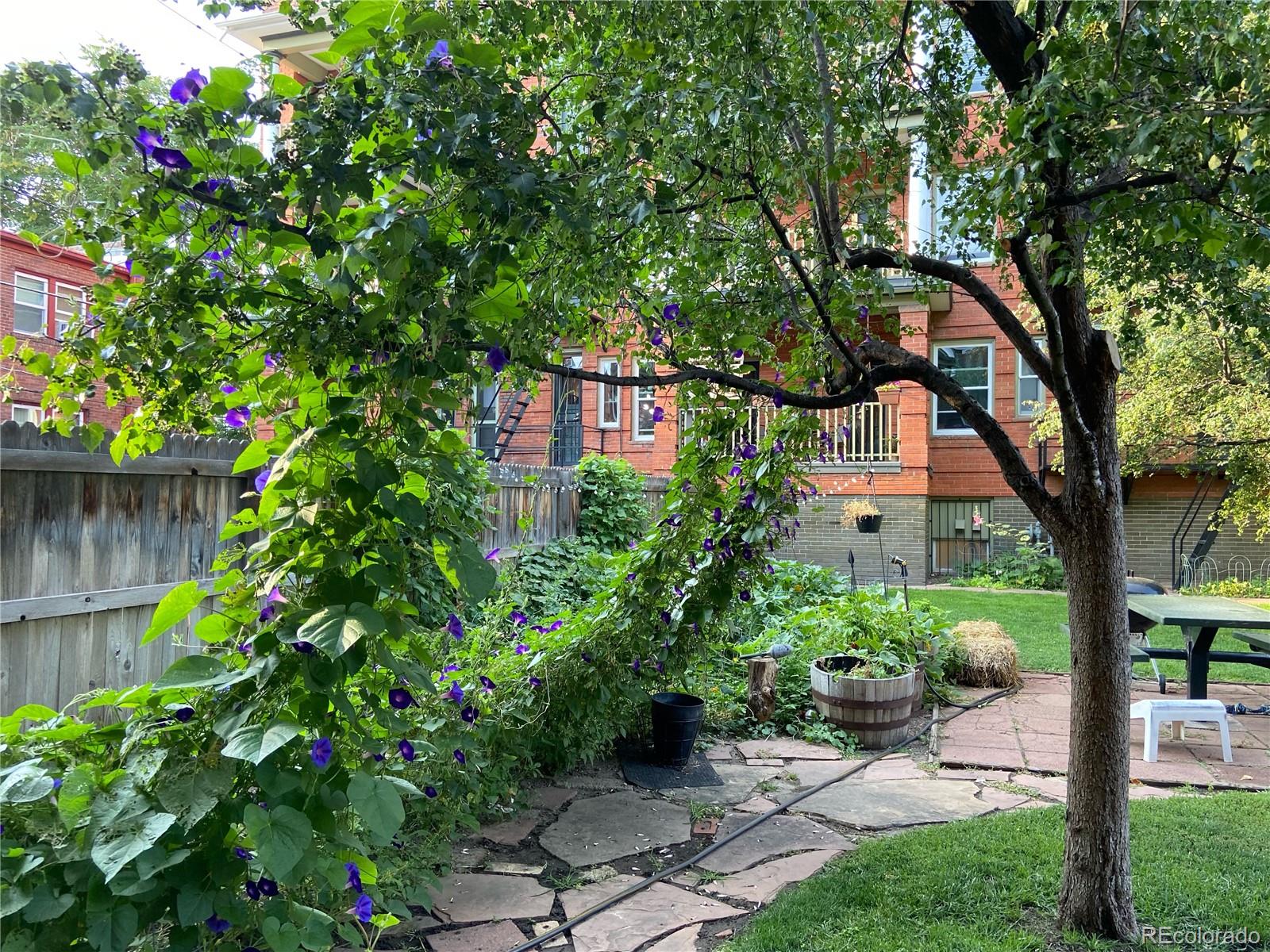 1376 N Pearl Street Unit: 210