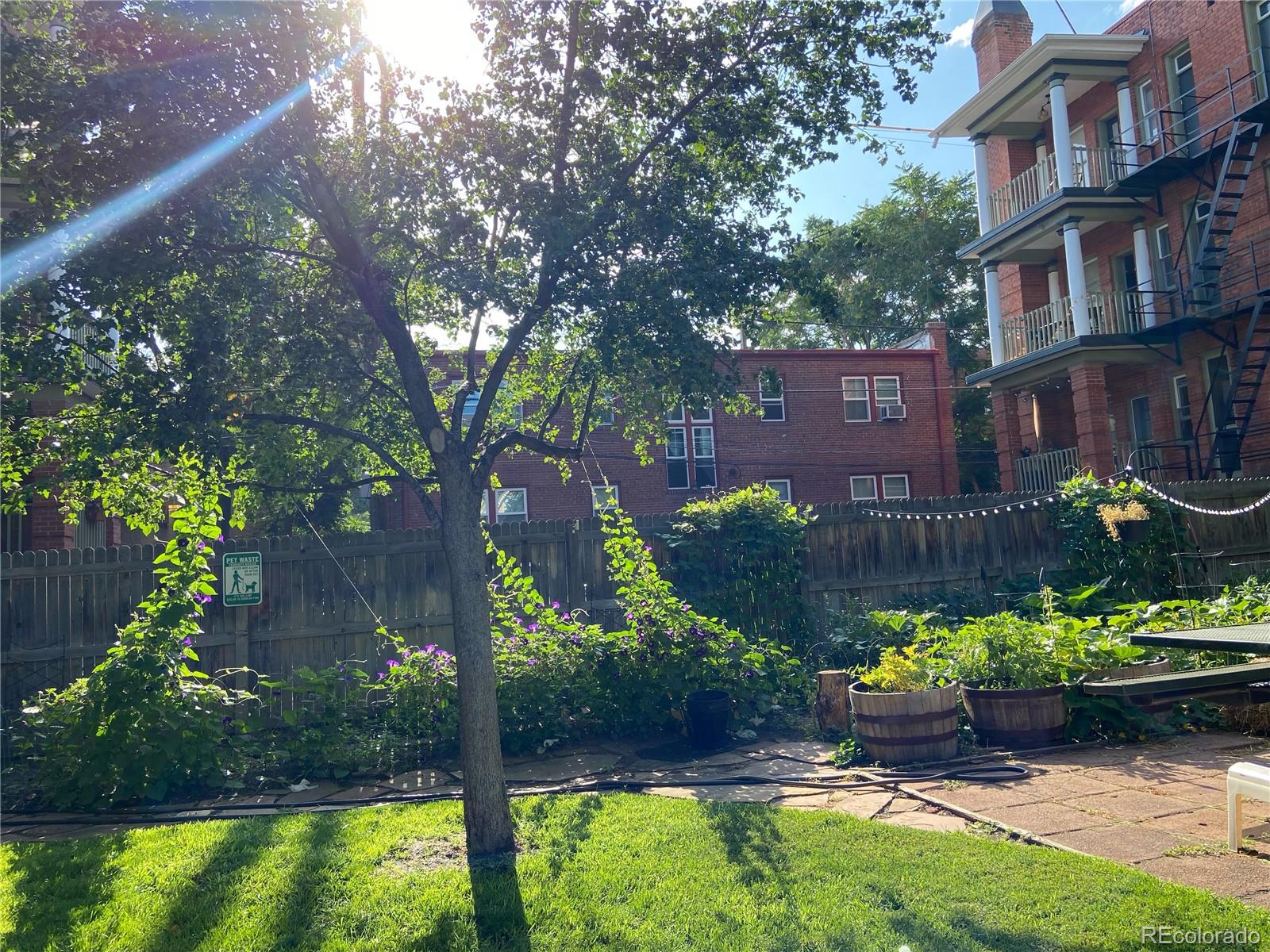 1376 N Pearl Street Unit: 210
