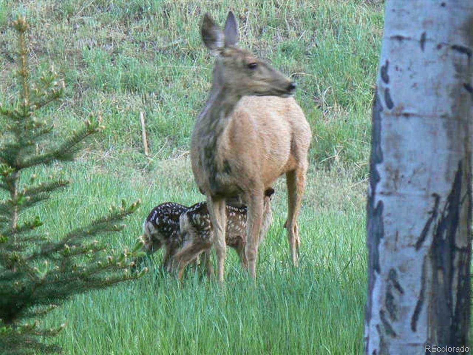 23566 Pondview Place Unit: F