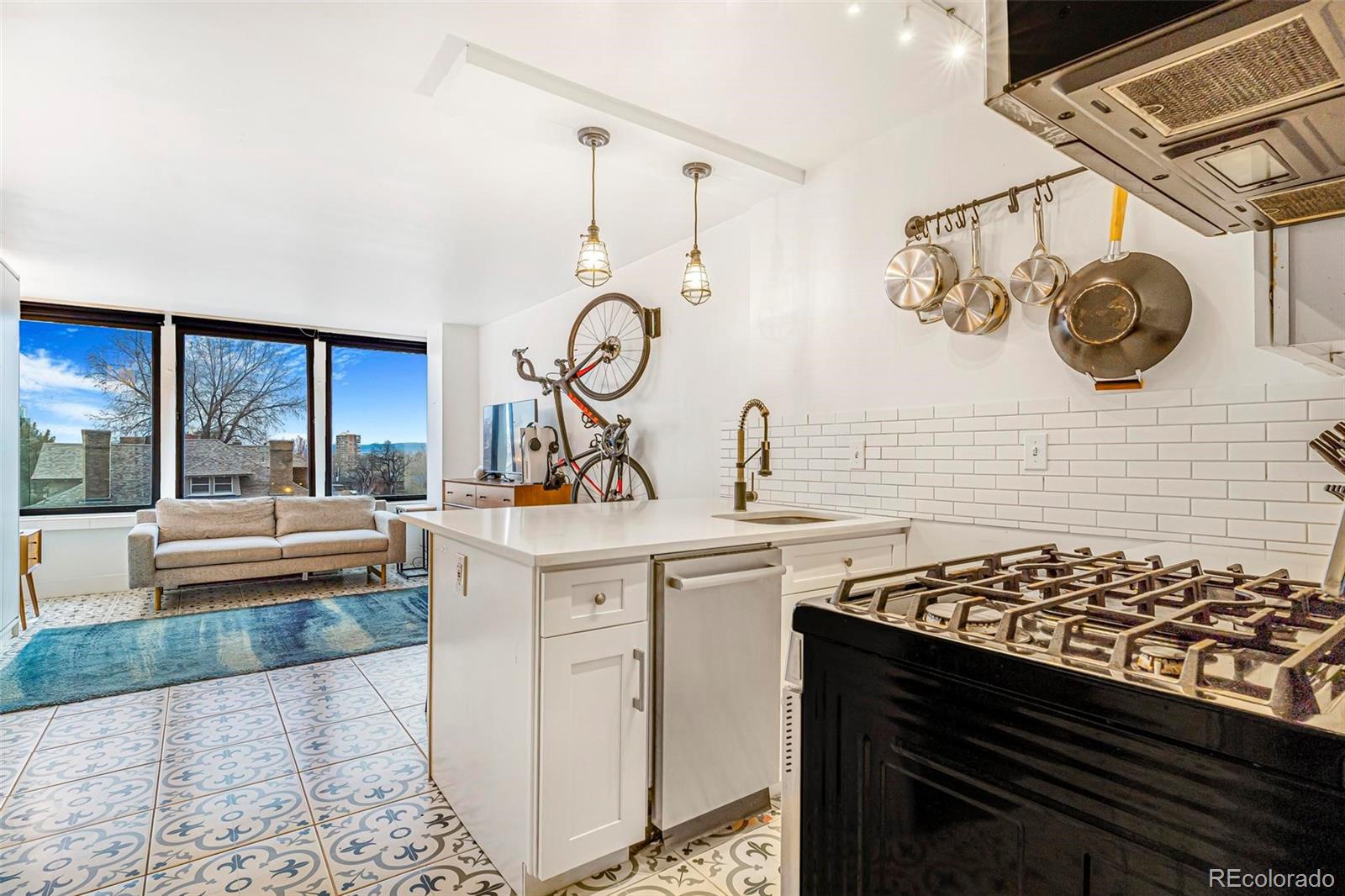 789 N Clarkson Street Unit: 406