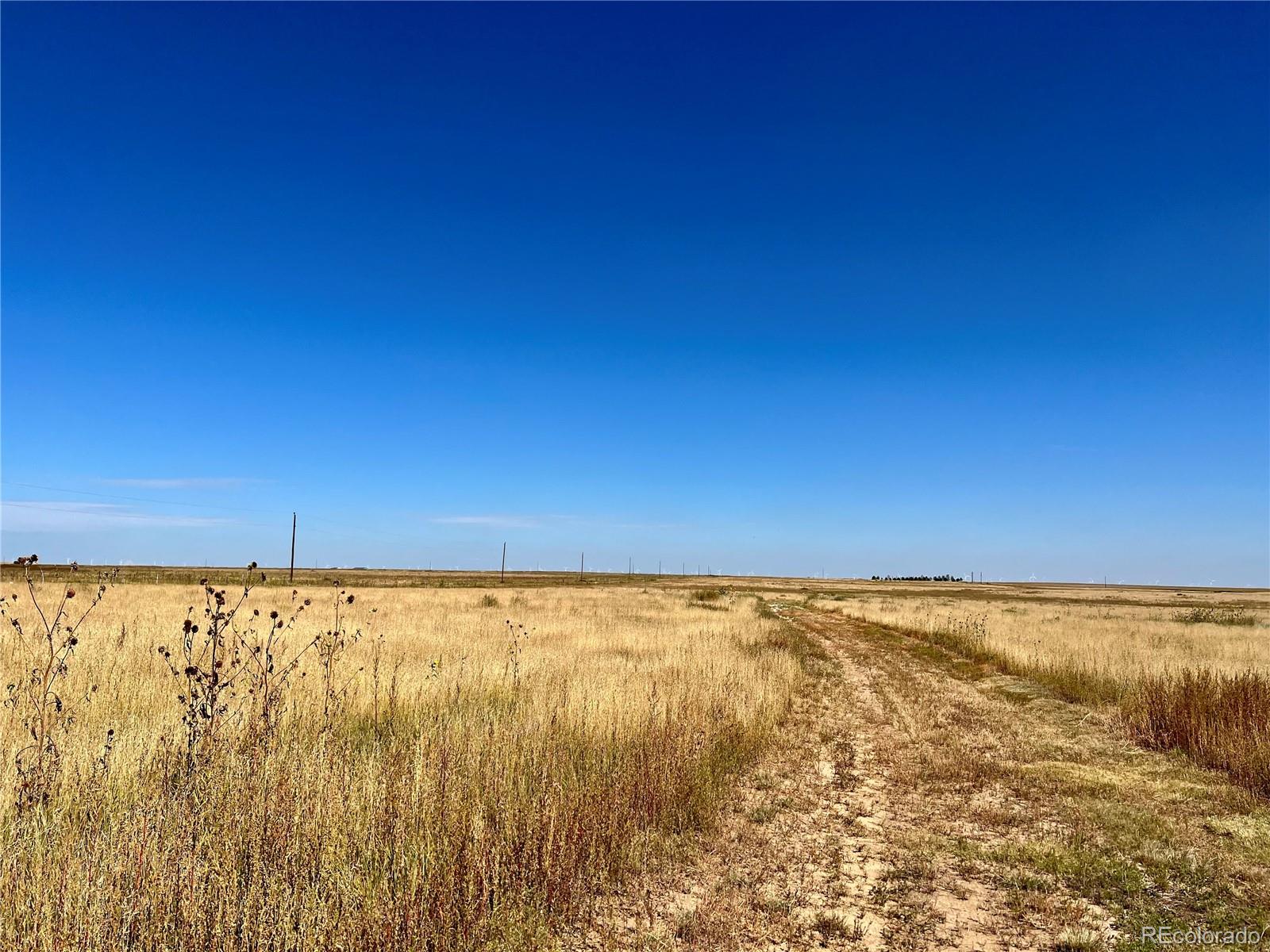 46850 County Road 46