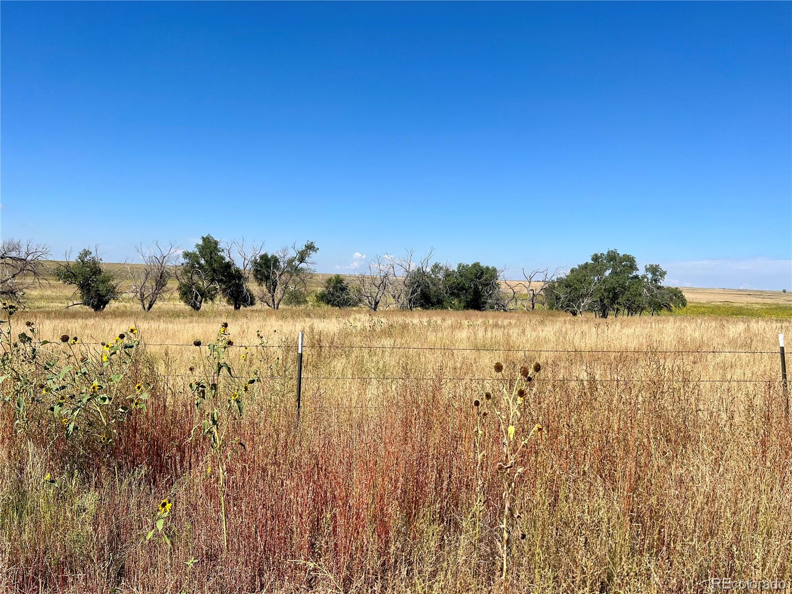 46850 County Road 46