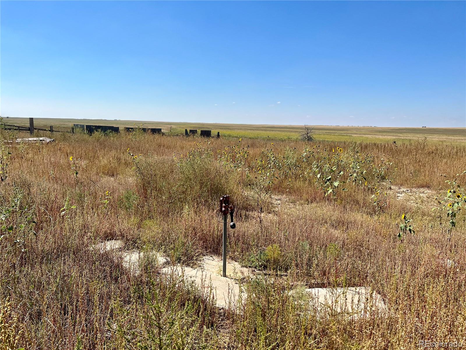 46850 County Road 46