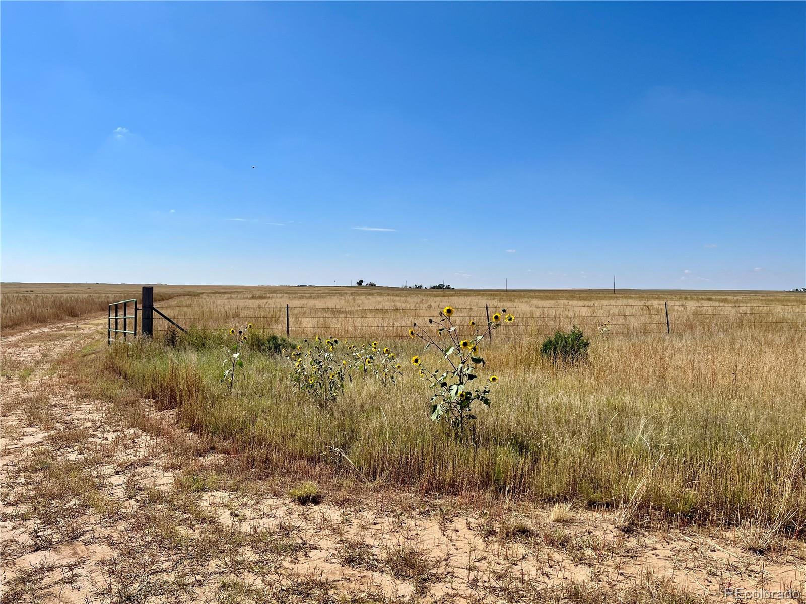 46850 County Road 46