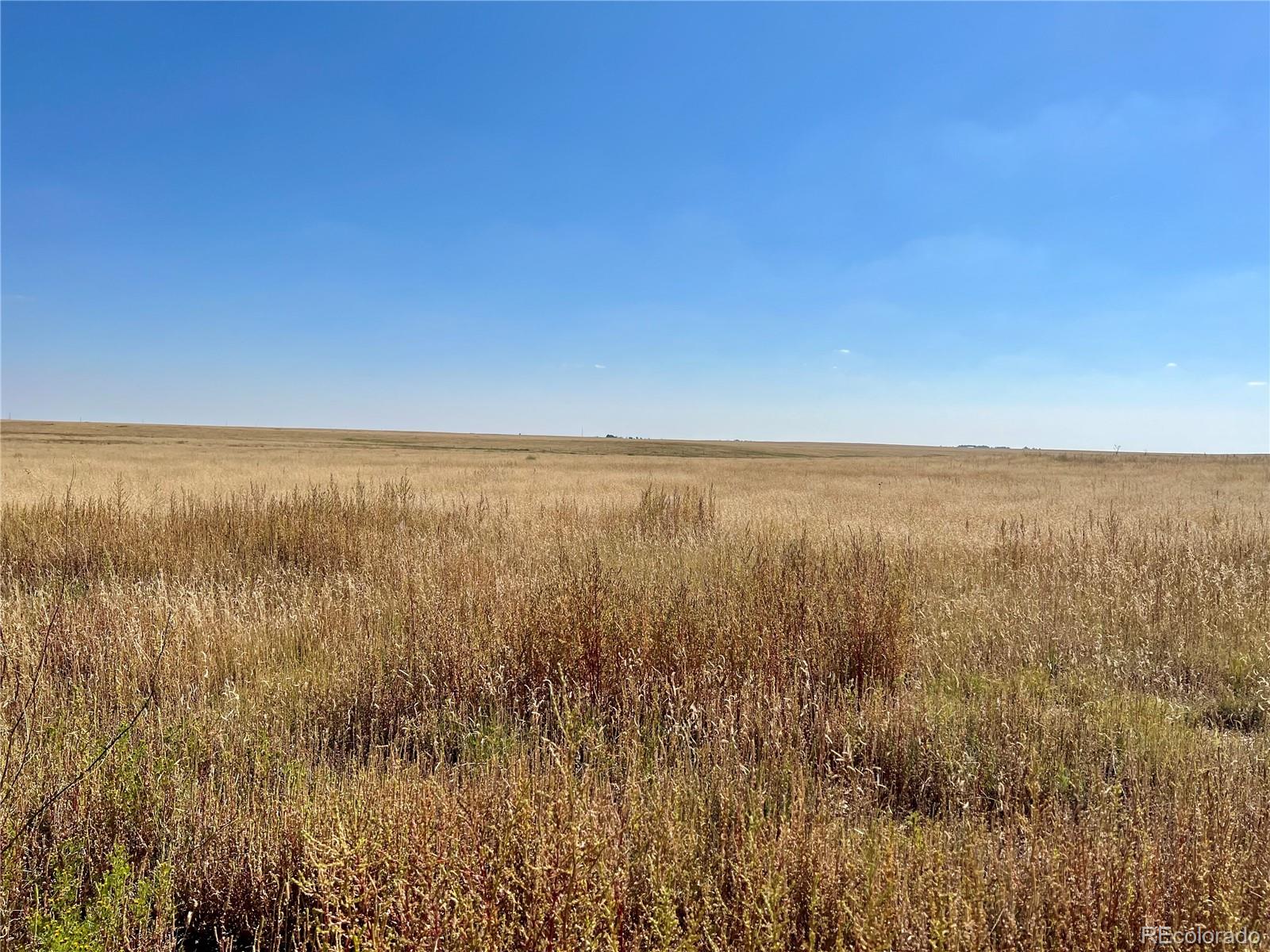 46850 County Road 46