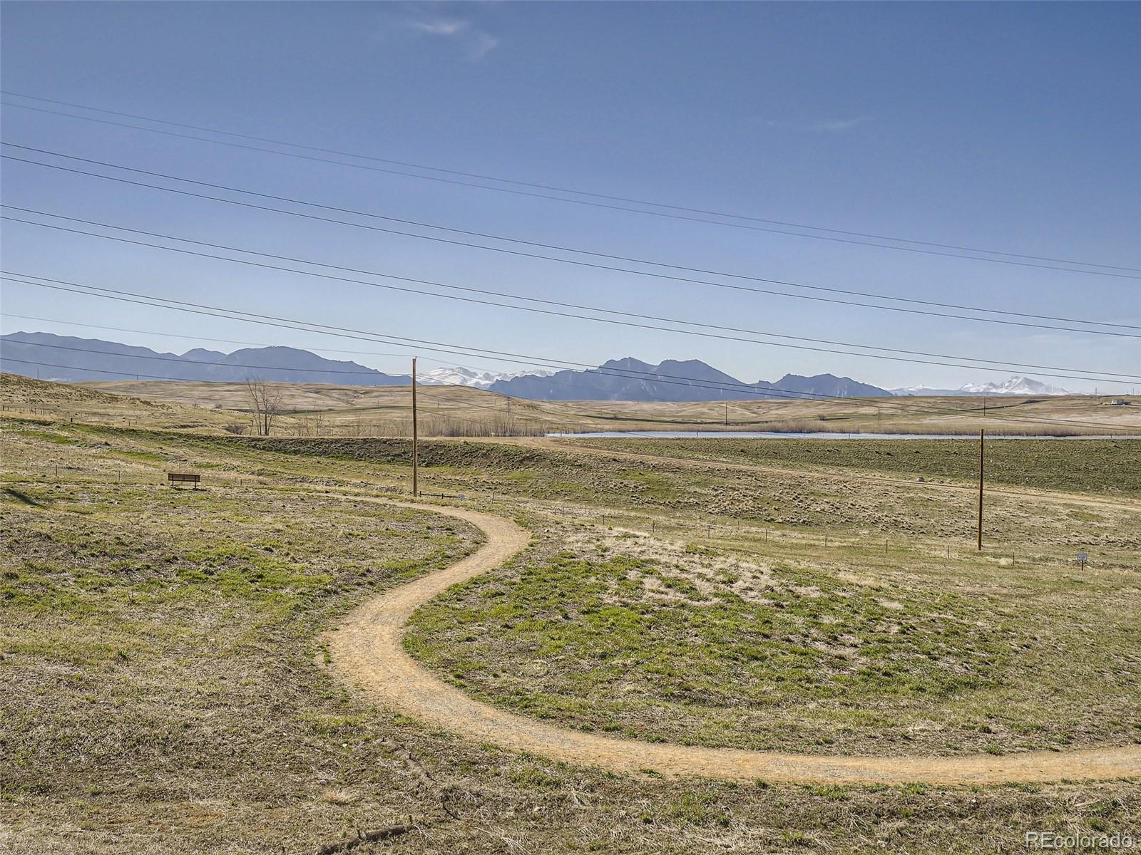 10767 Bear Cub Drive