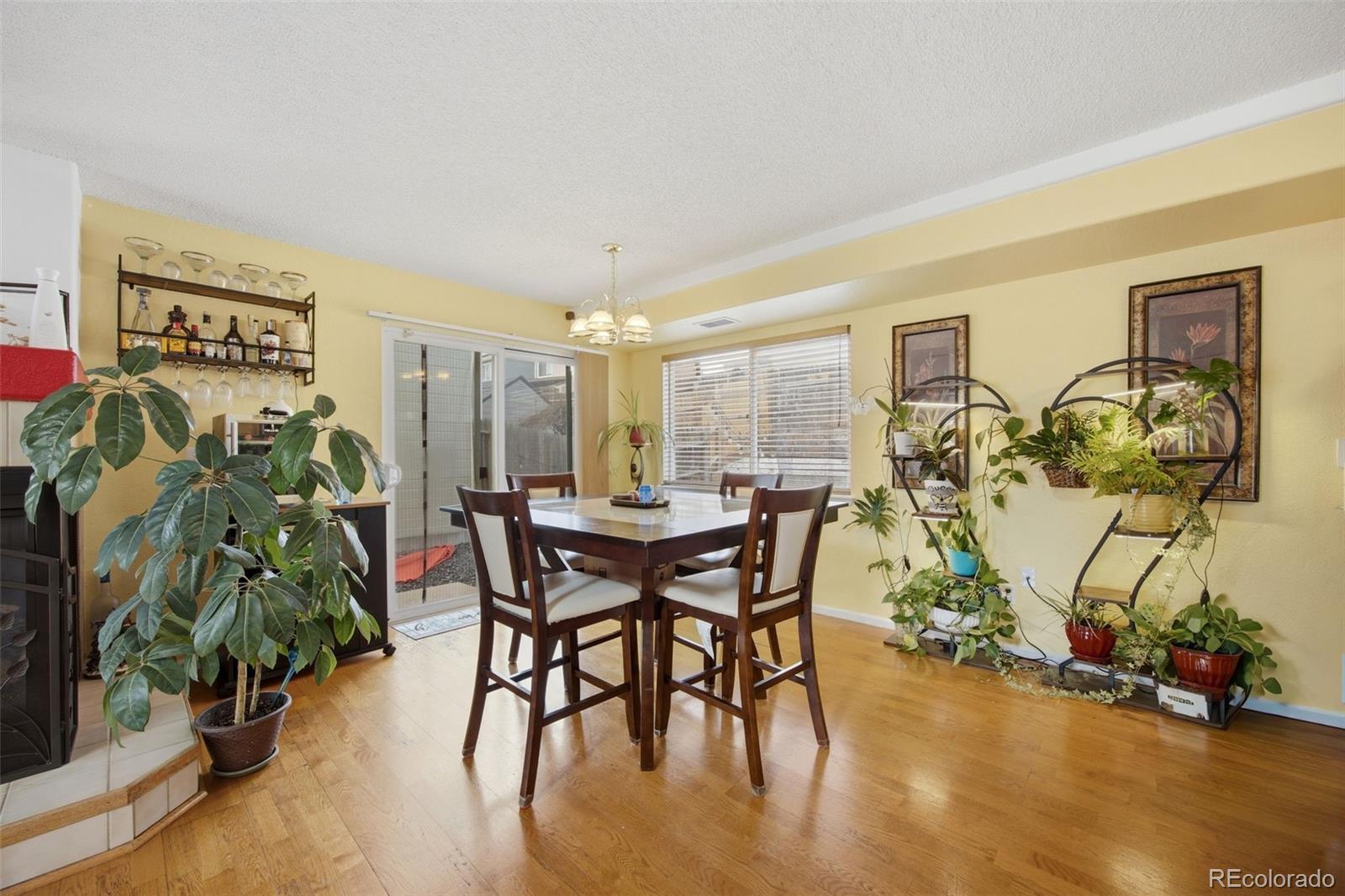 4125 Orleans Court