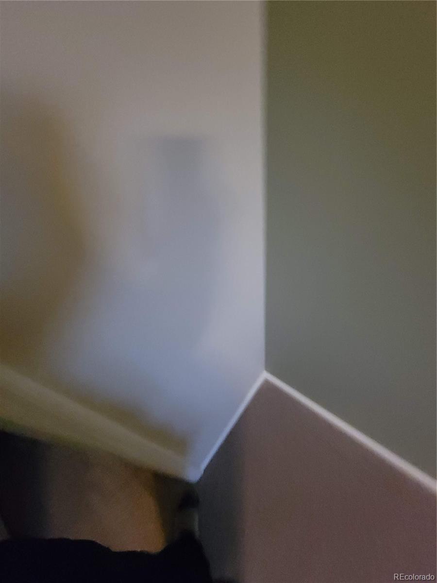 420 Elizabeth Street