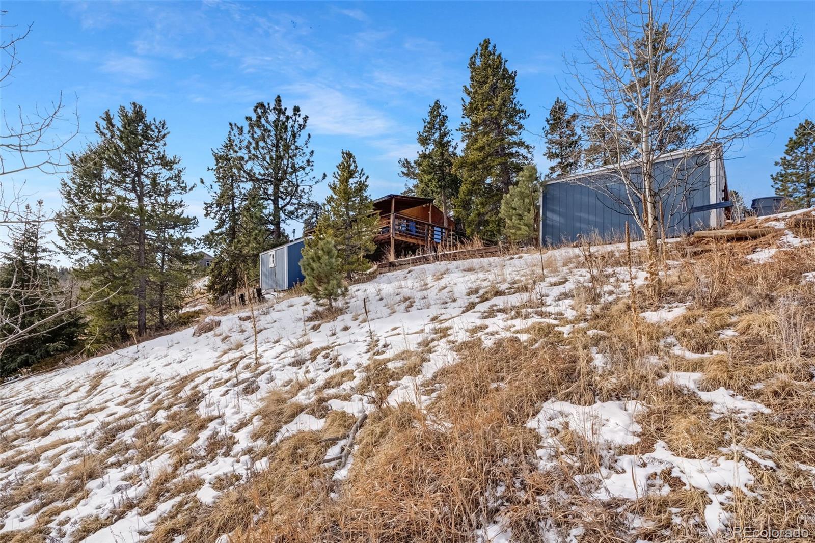 305 Bristlecone Circle